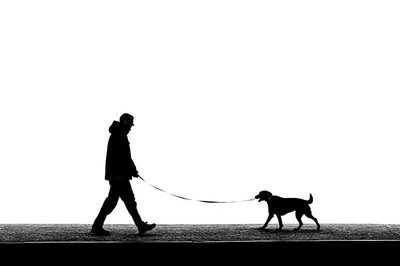 Silhouette Of A Person Walking A Dog