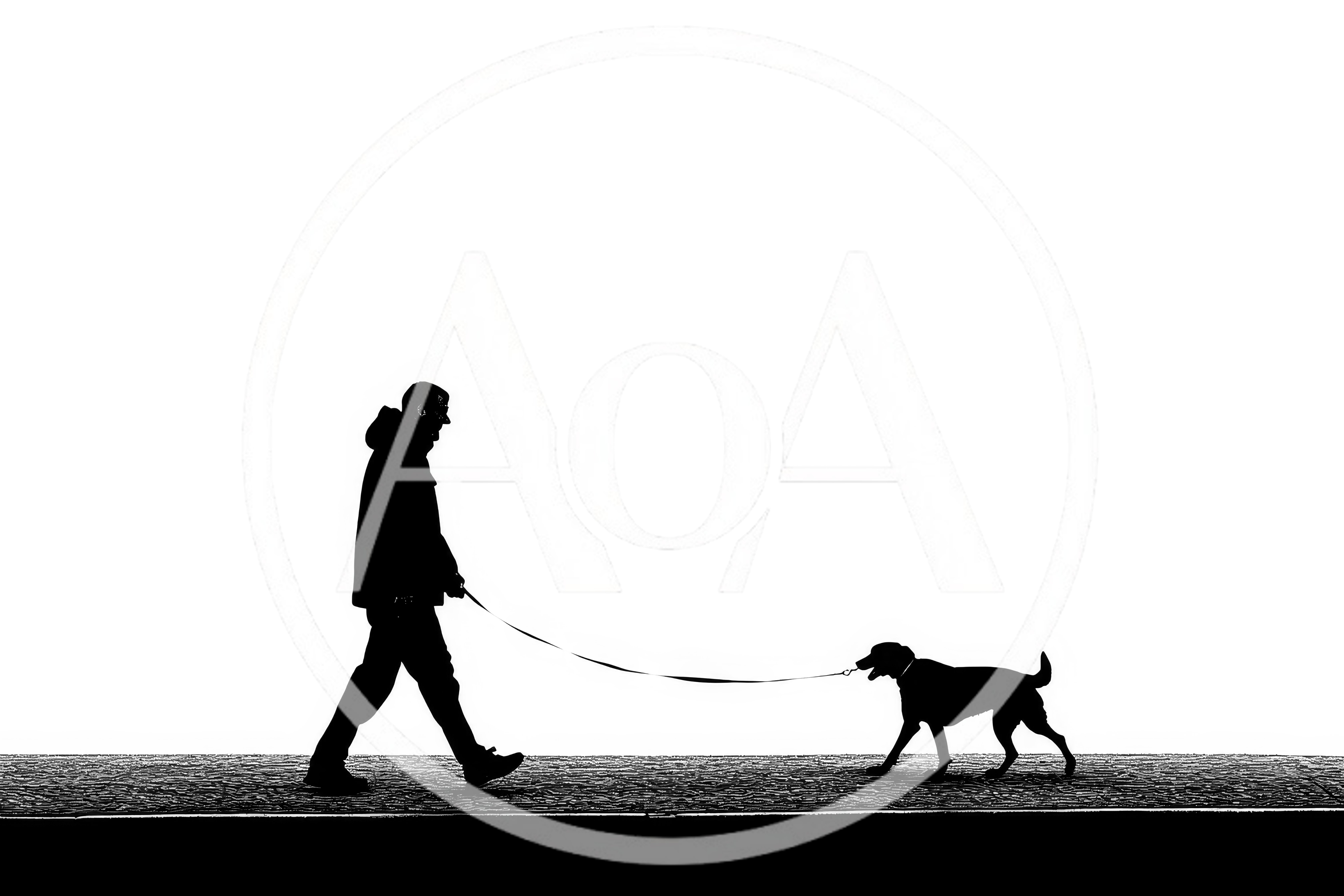 Silhouette Of A Person Walking A Dog