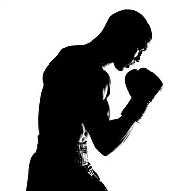 Silhouette Of A Professional Boxer In Fighting Stance