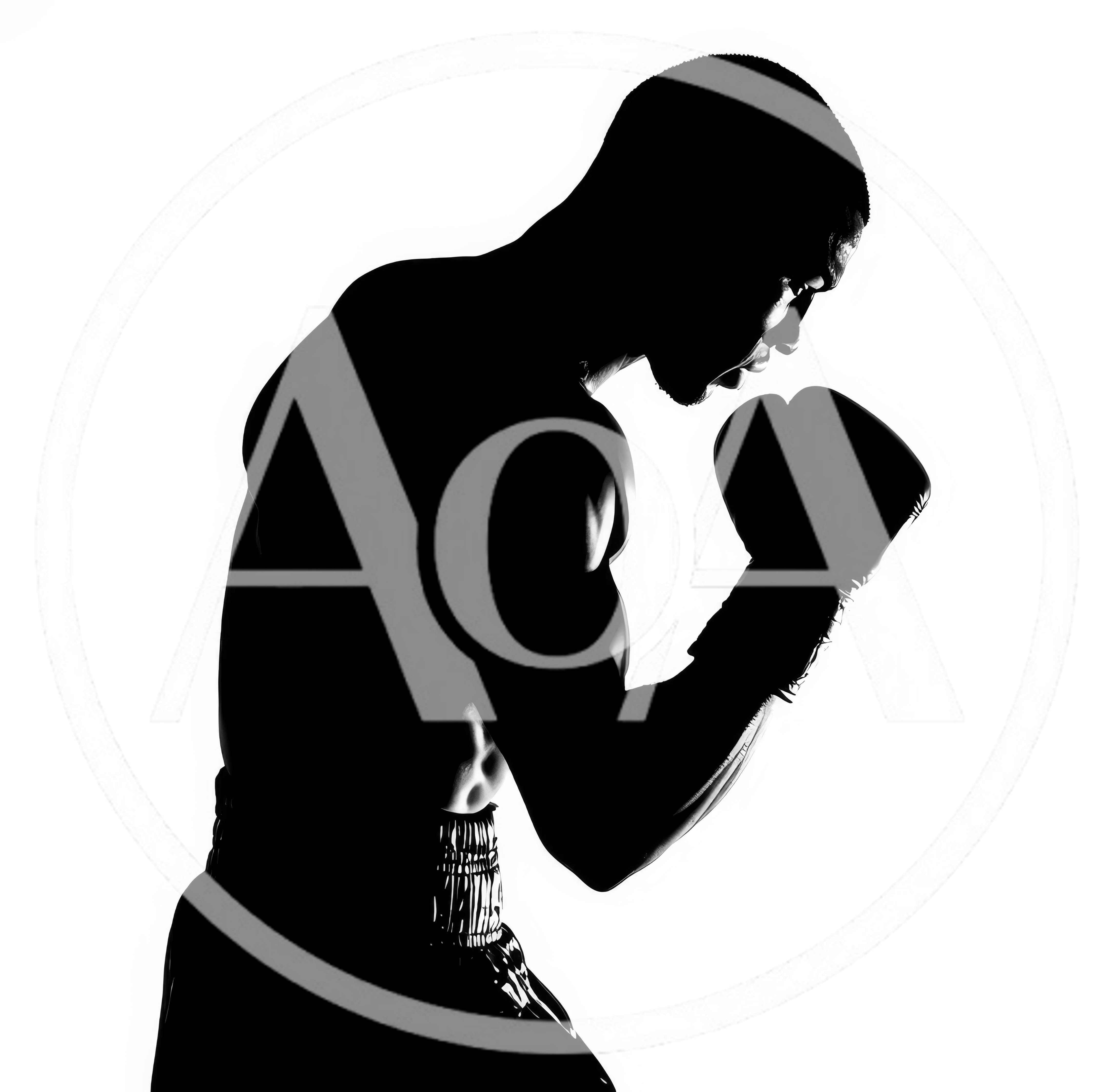 Silhouette Of A Professional Boxer In Fighting Stance