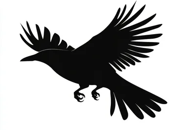 Black Raven Silhouette Flying Against White Background