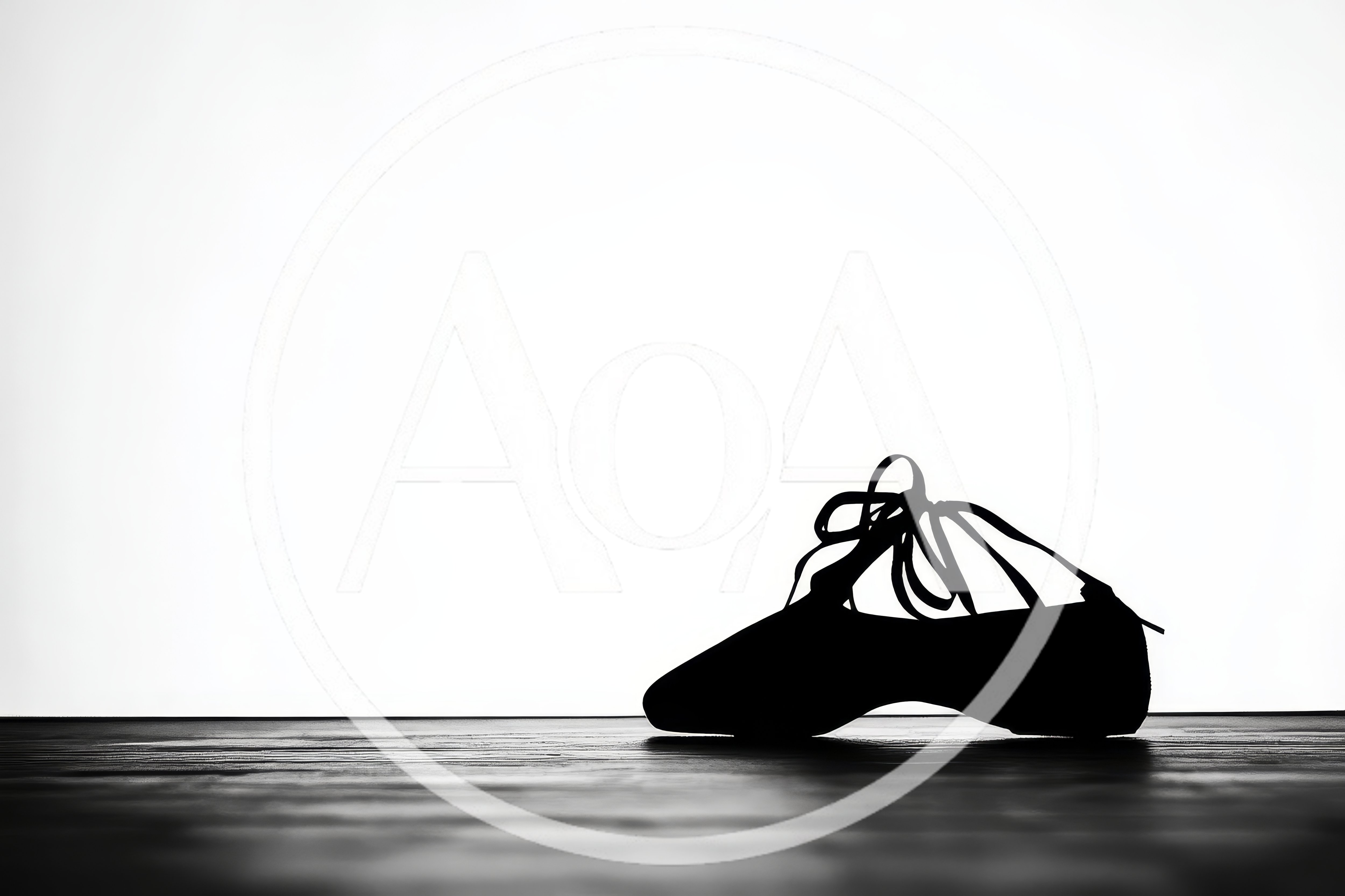 Silhouette Of A Ballet Slipper On A Wooden Floor