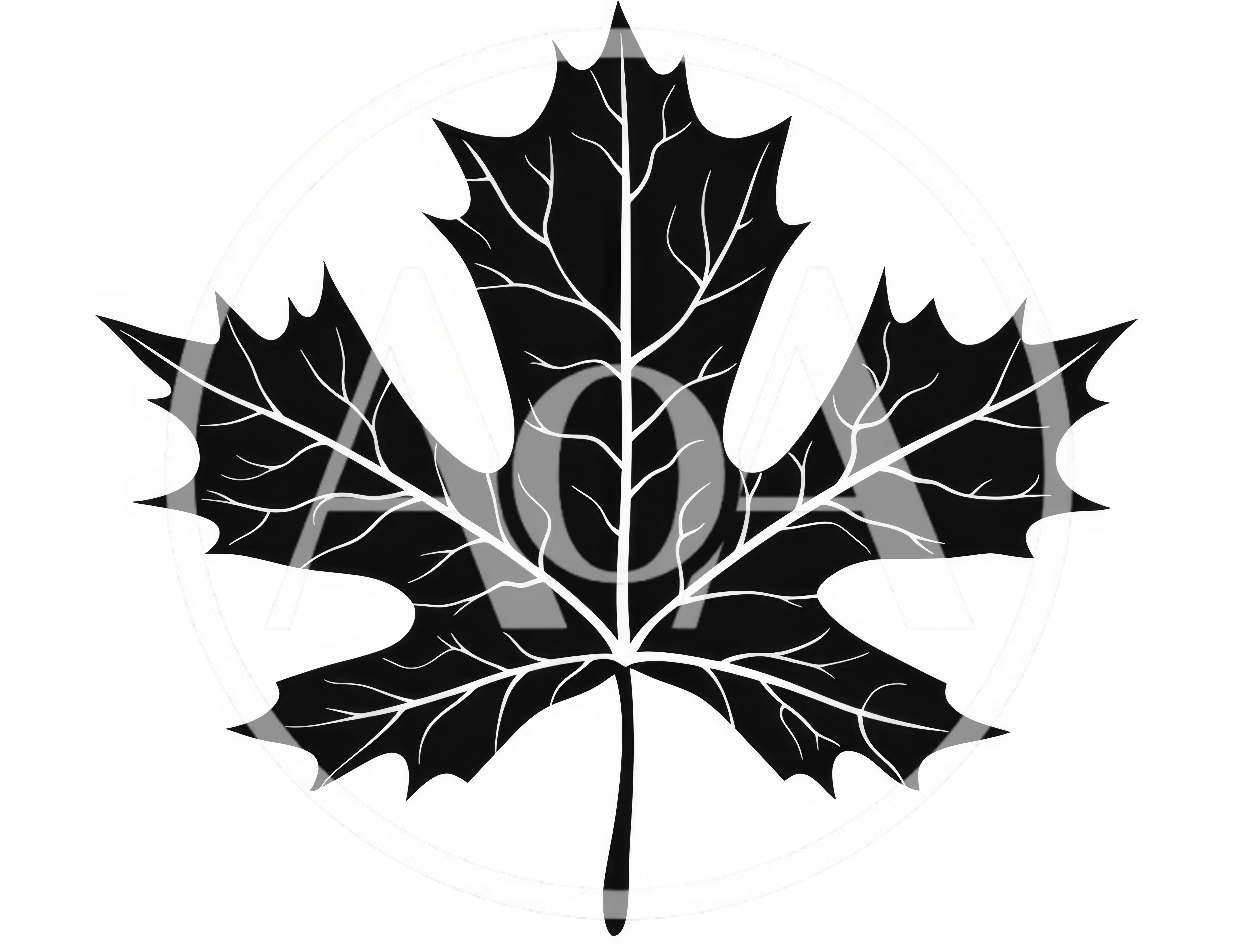 Black Maple Leaf Silhouette With Detailed Vein Pattern