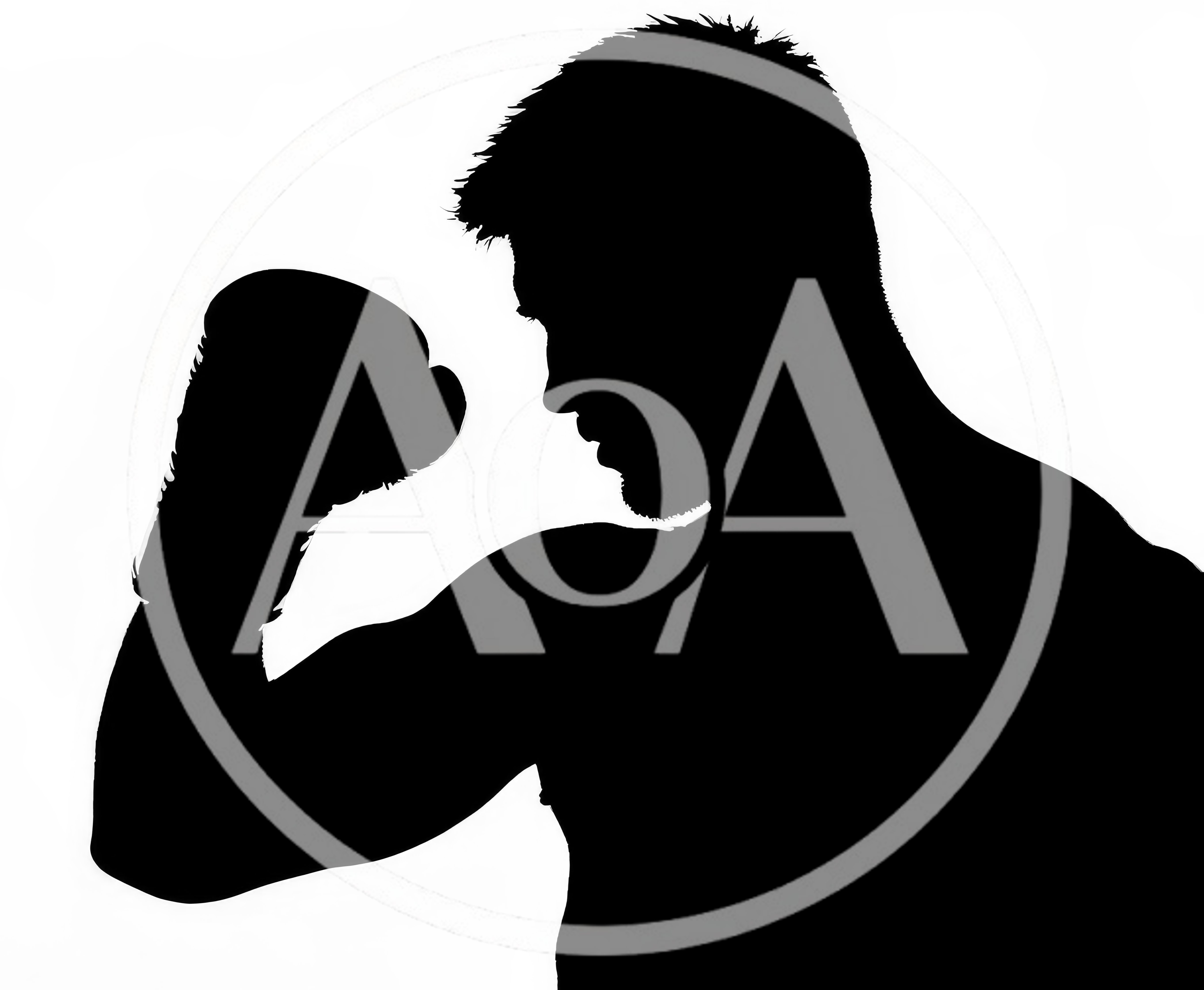 Silhouette Of A Boxer In Fighting Stance