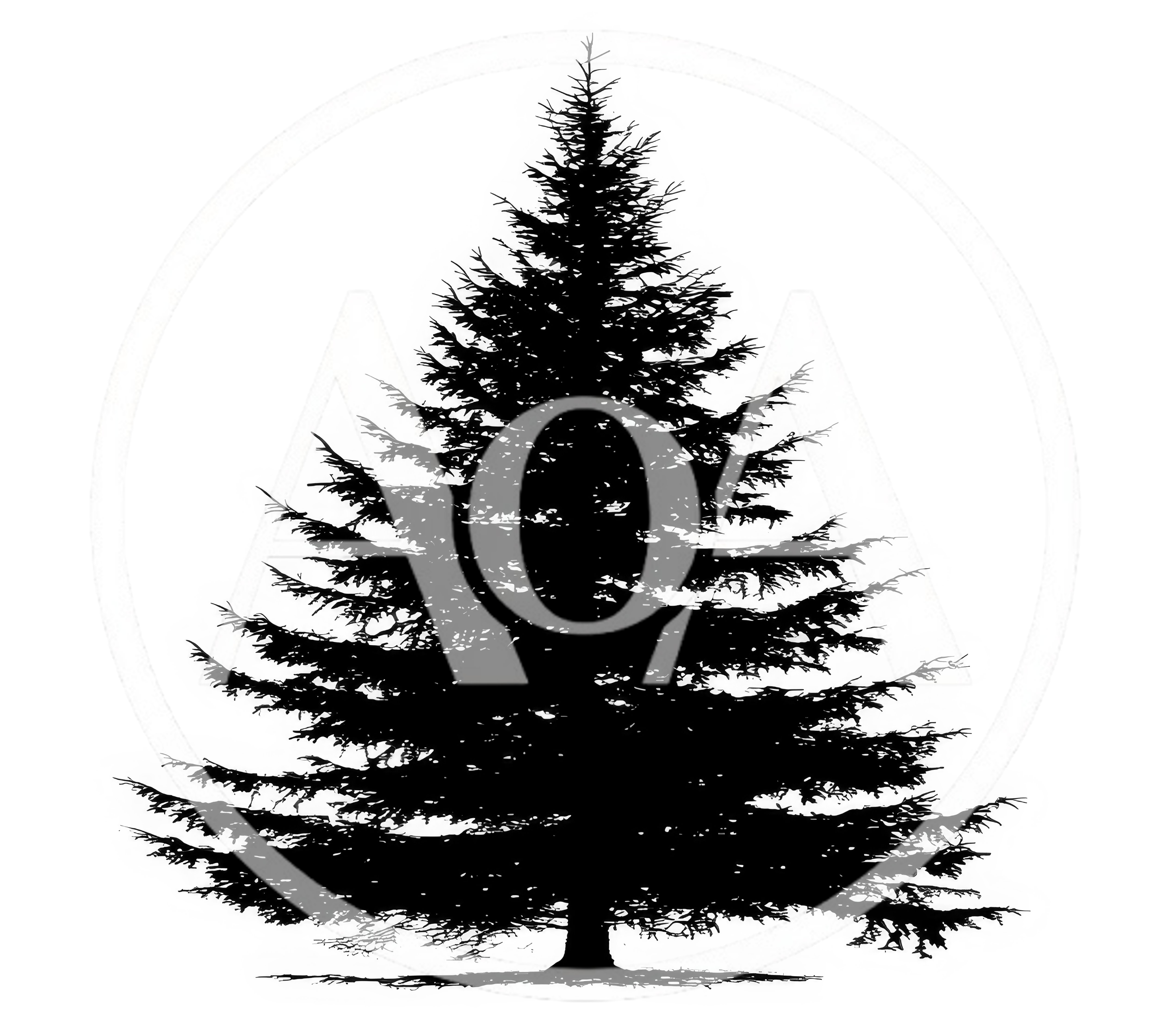 Black Silhouette Of A Coniferous Pine Tree