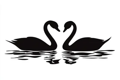 Black Swan Silhouette Couple Forming A Heart Shape