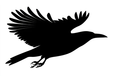 Black Crow Silhouette Flying Against White Background
