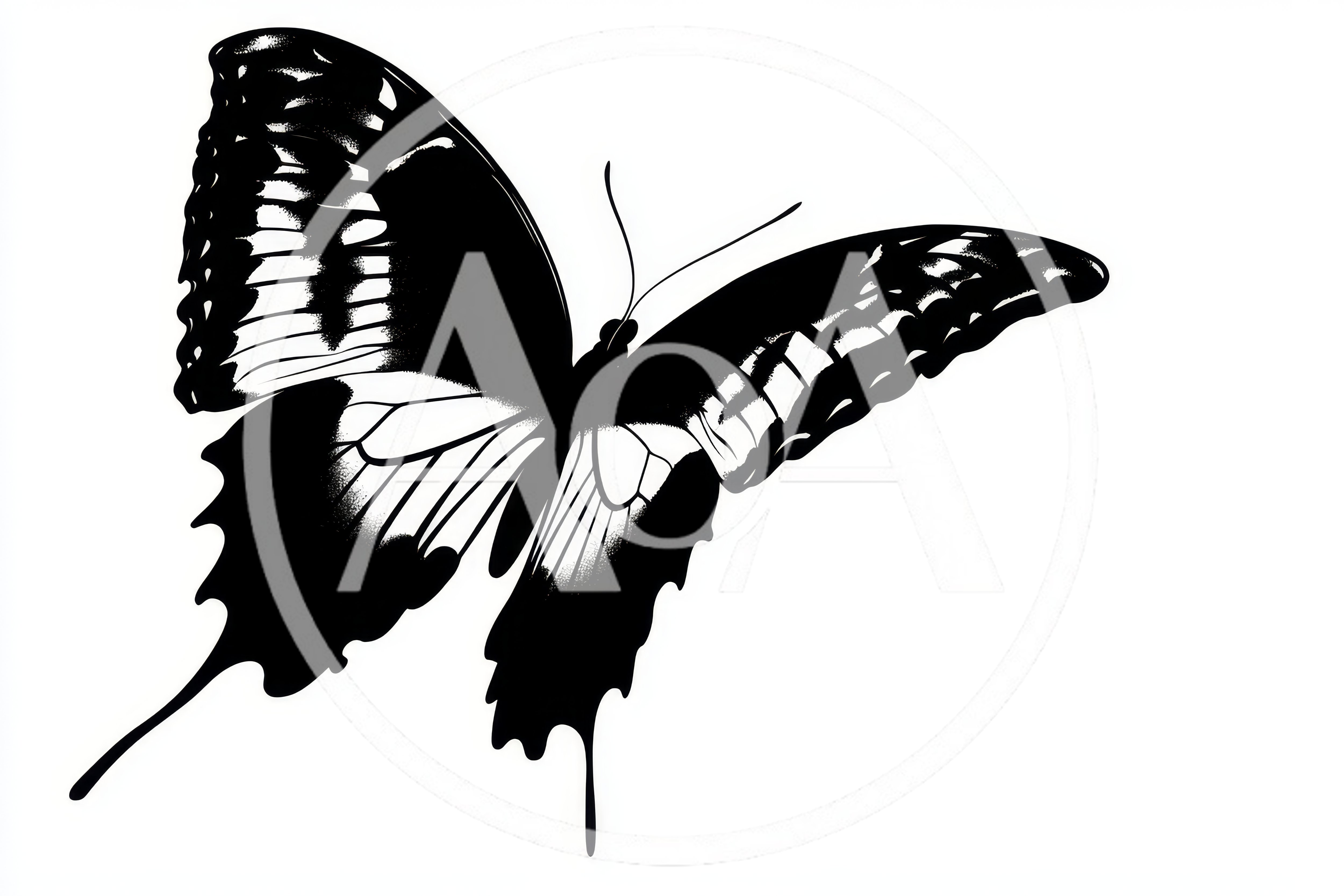 Black And White Butterfly Illustration