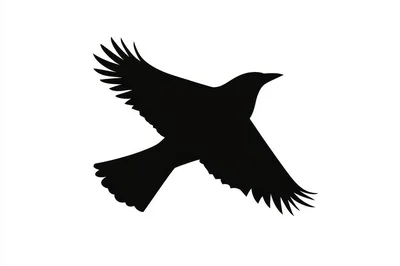 Black Silhouette Of A Flying Crow