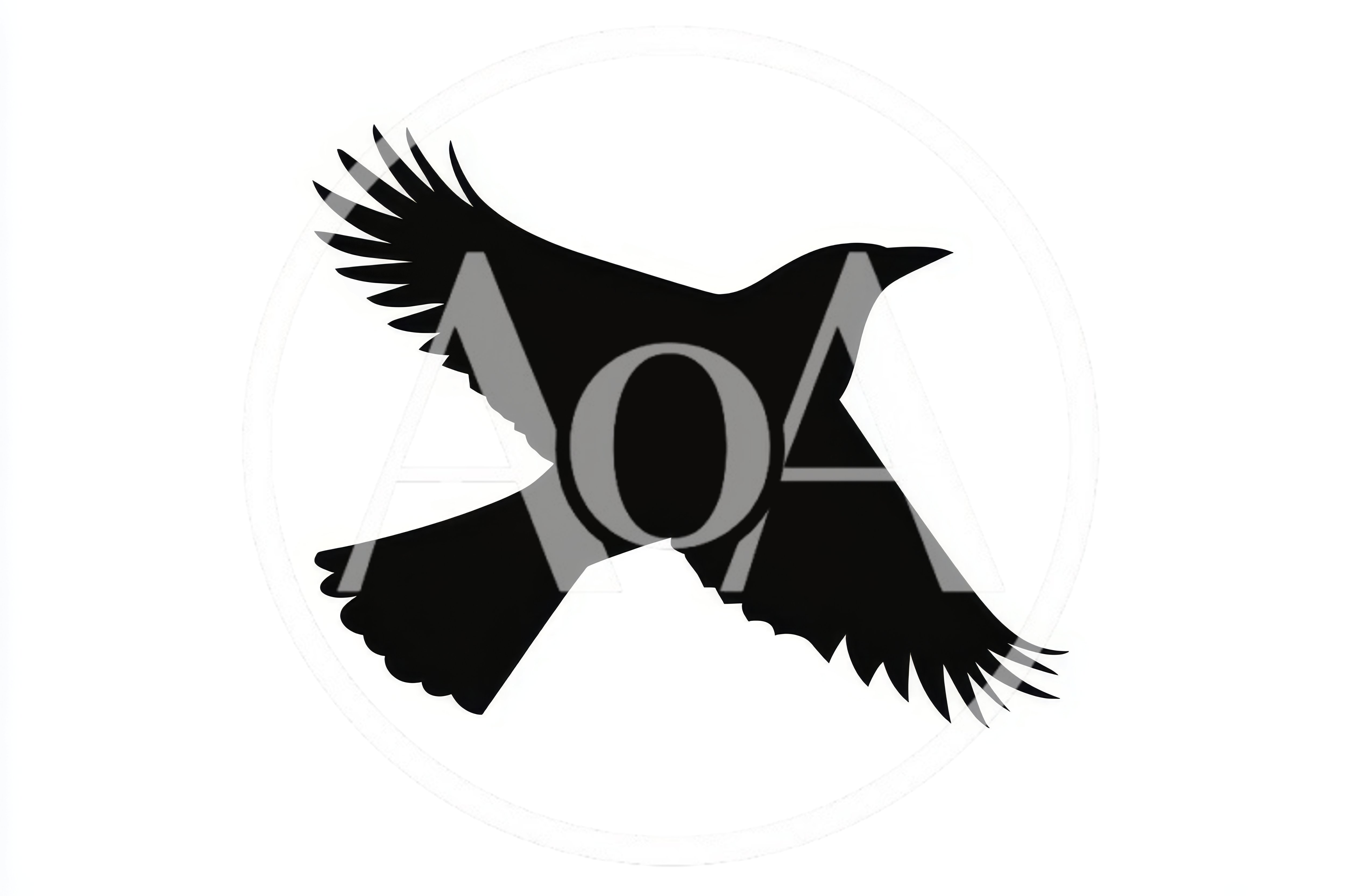 Black Silhouette Of A Flying Crow