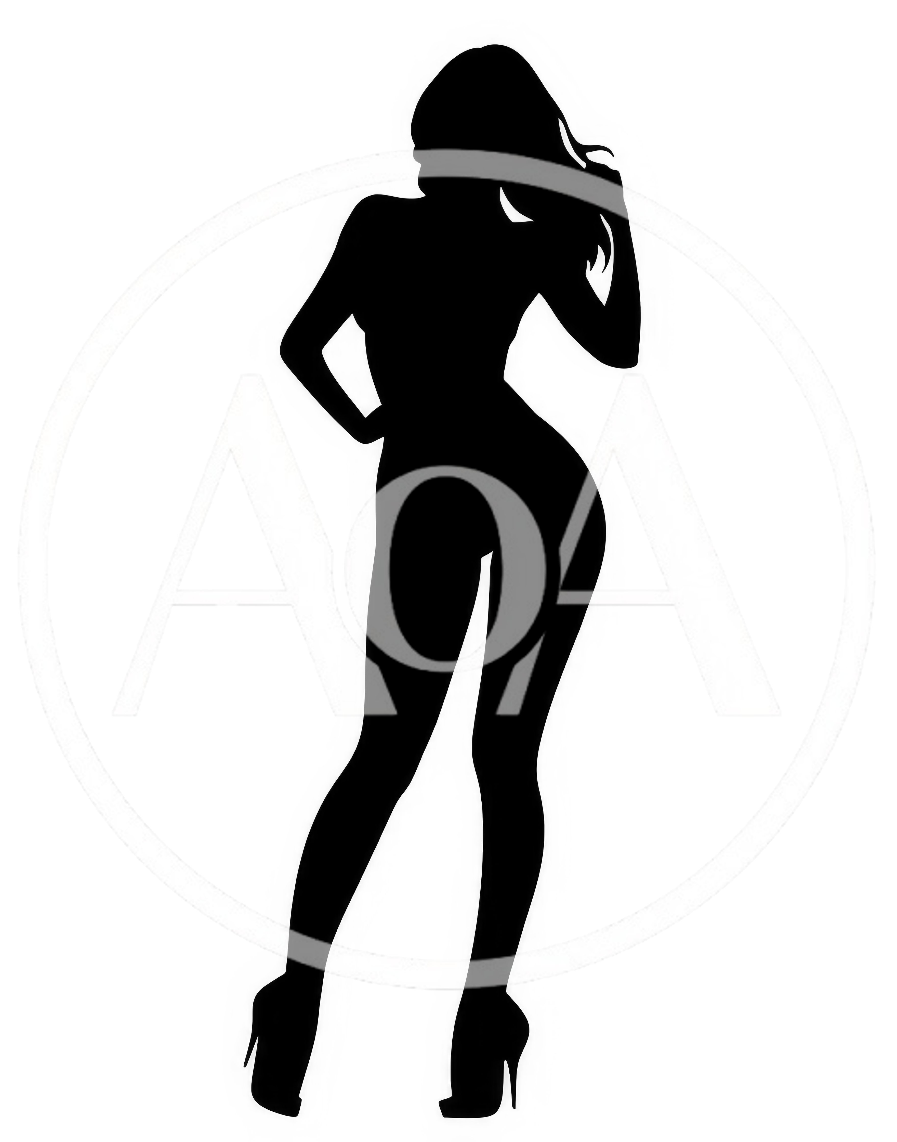 Black Silhouette Of A Fashionable Woman In High Heels