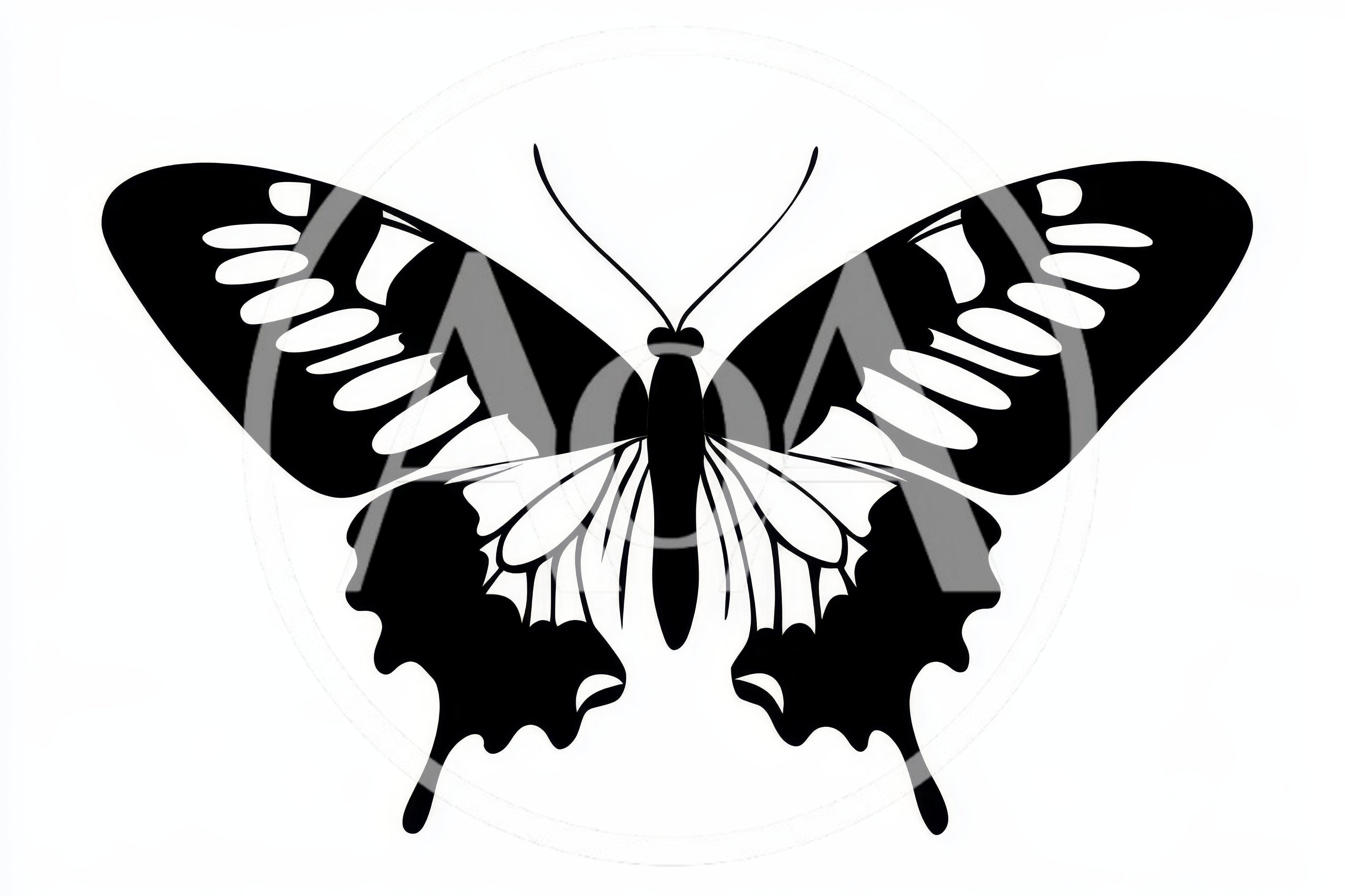 Black And White Butterfly Silhouette Illustration