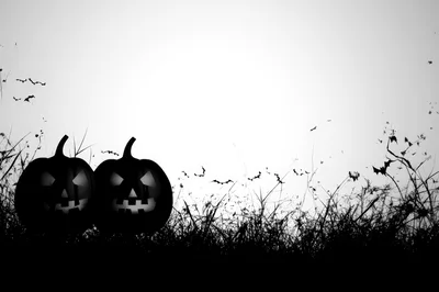 Spooky Halloween Jack O Lanterns In Grassy Field
