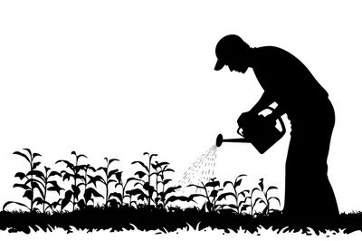 Silhouette Of A Gardener Watering Plants