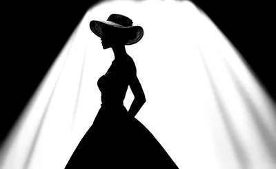 Silhouette Of A Woman In A Wide Brimmed Hat