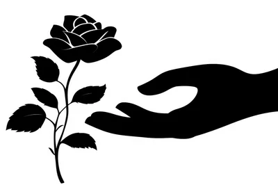 Black Silhouette Of A Hand Reaching For A Rose