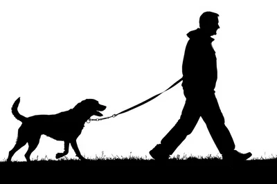 Silhouette Of A Man Walking His Dog