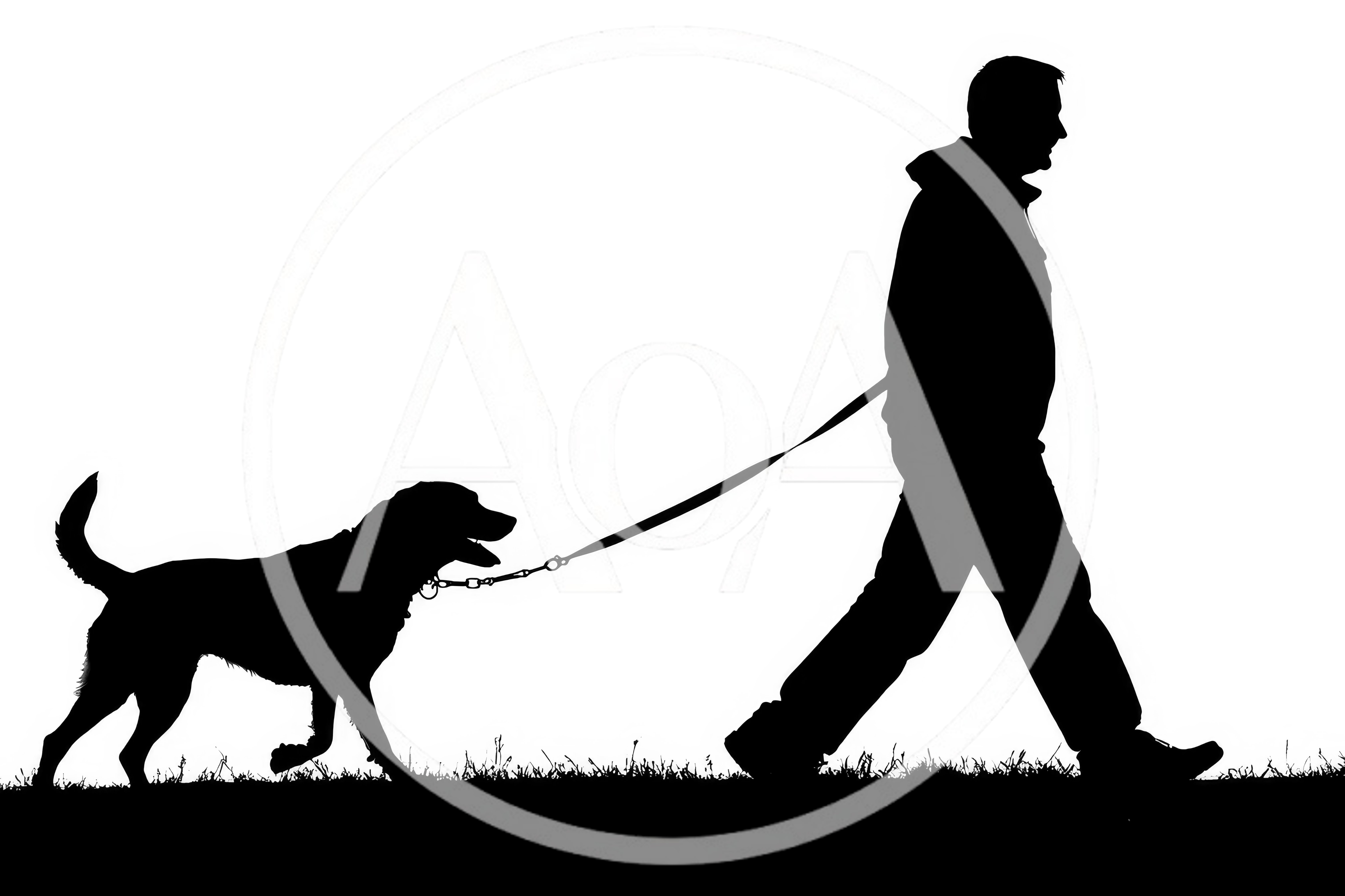 Silhouette Of A Man Walking His Dog