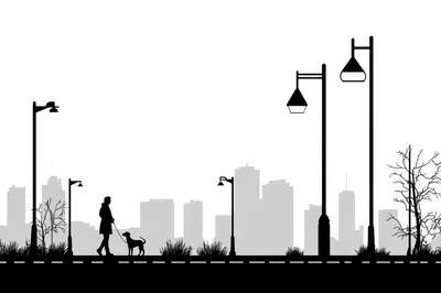 Silhouette Of A Person Walking A Dog In City