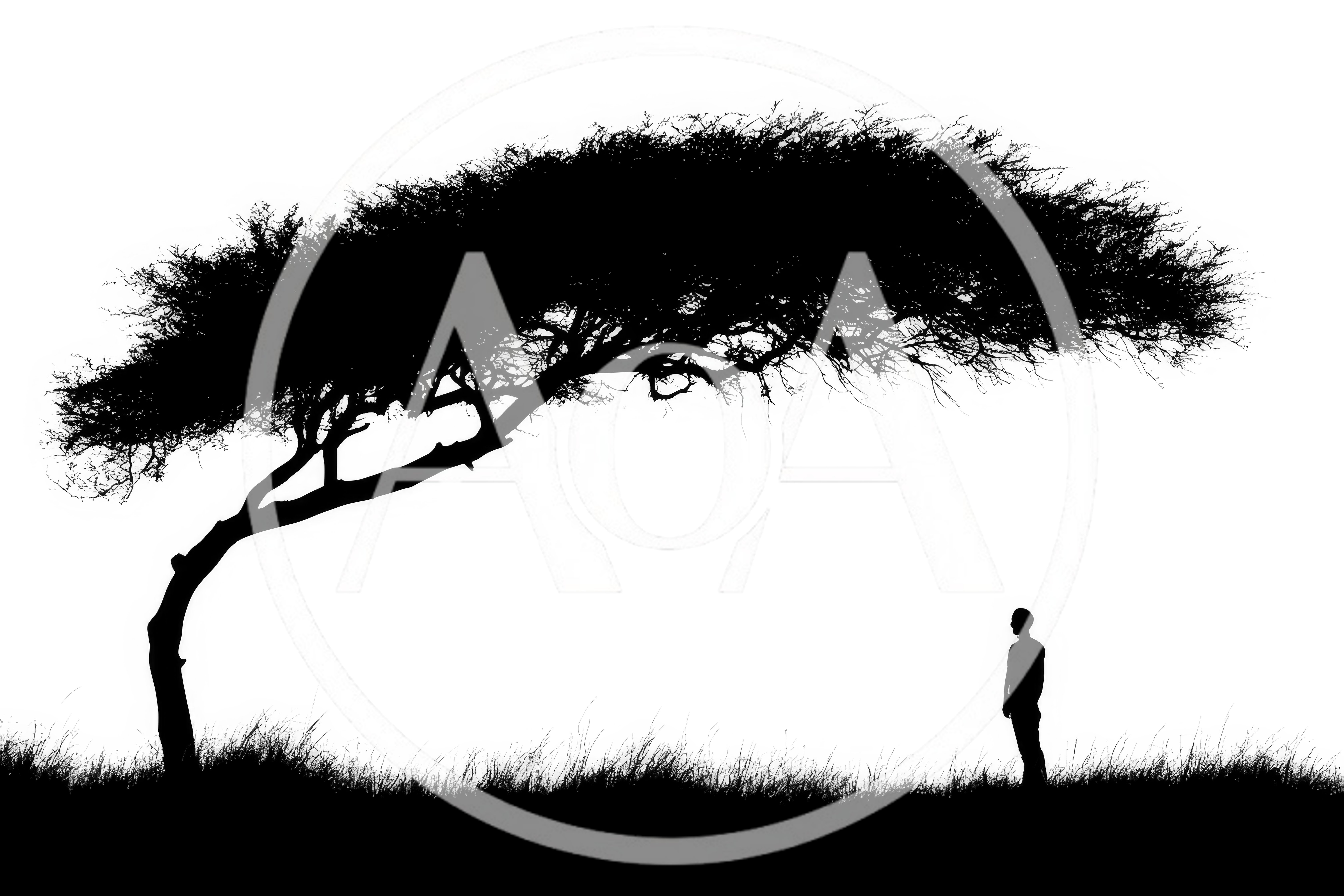 Silhouette Of A Man Standing Under An Acacia Tree