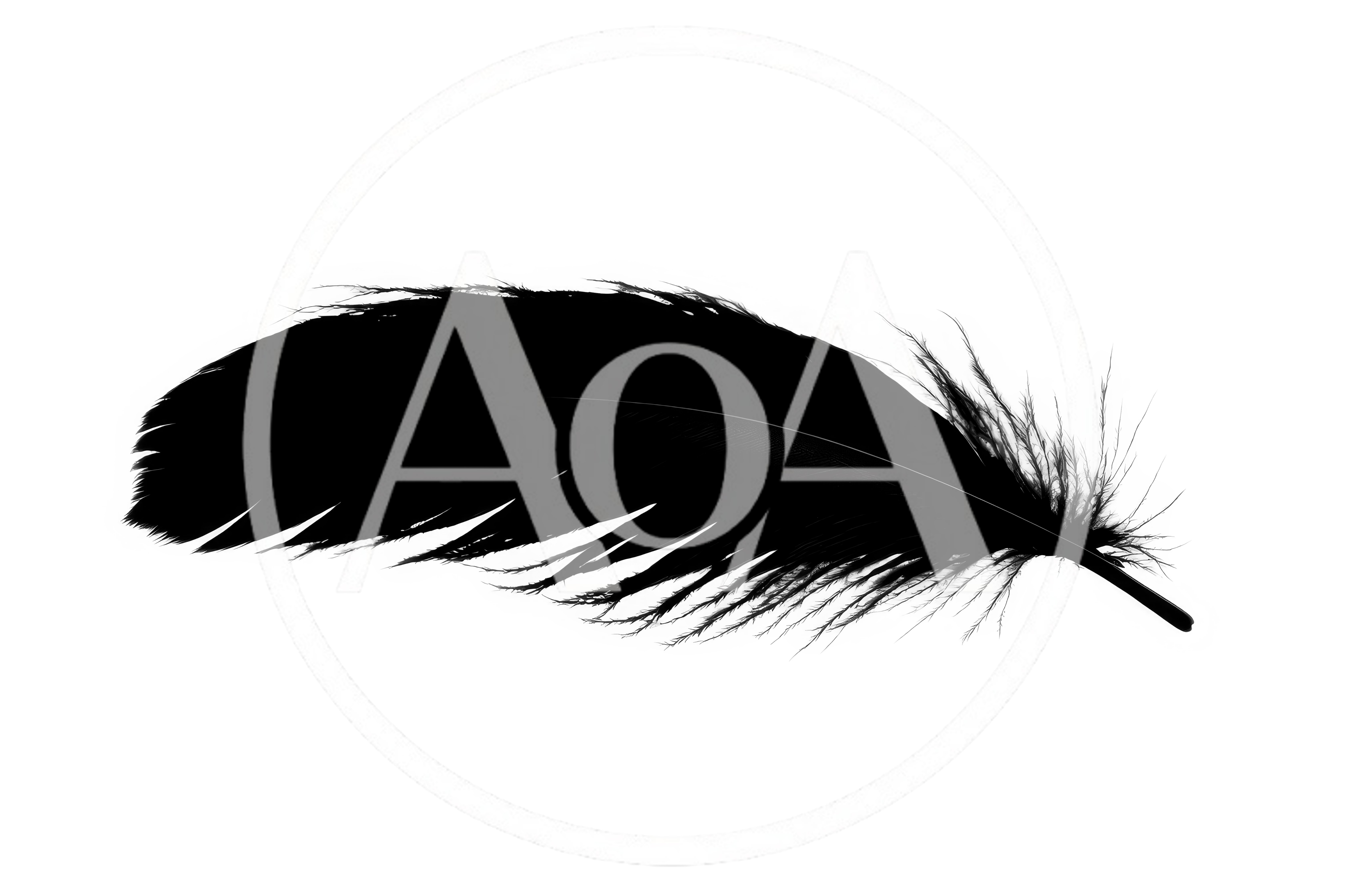 Single Black Feather Isolated On White Background