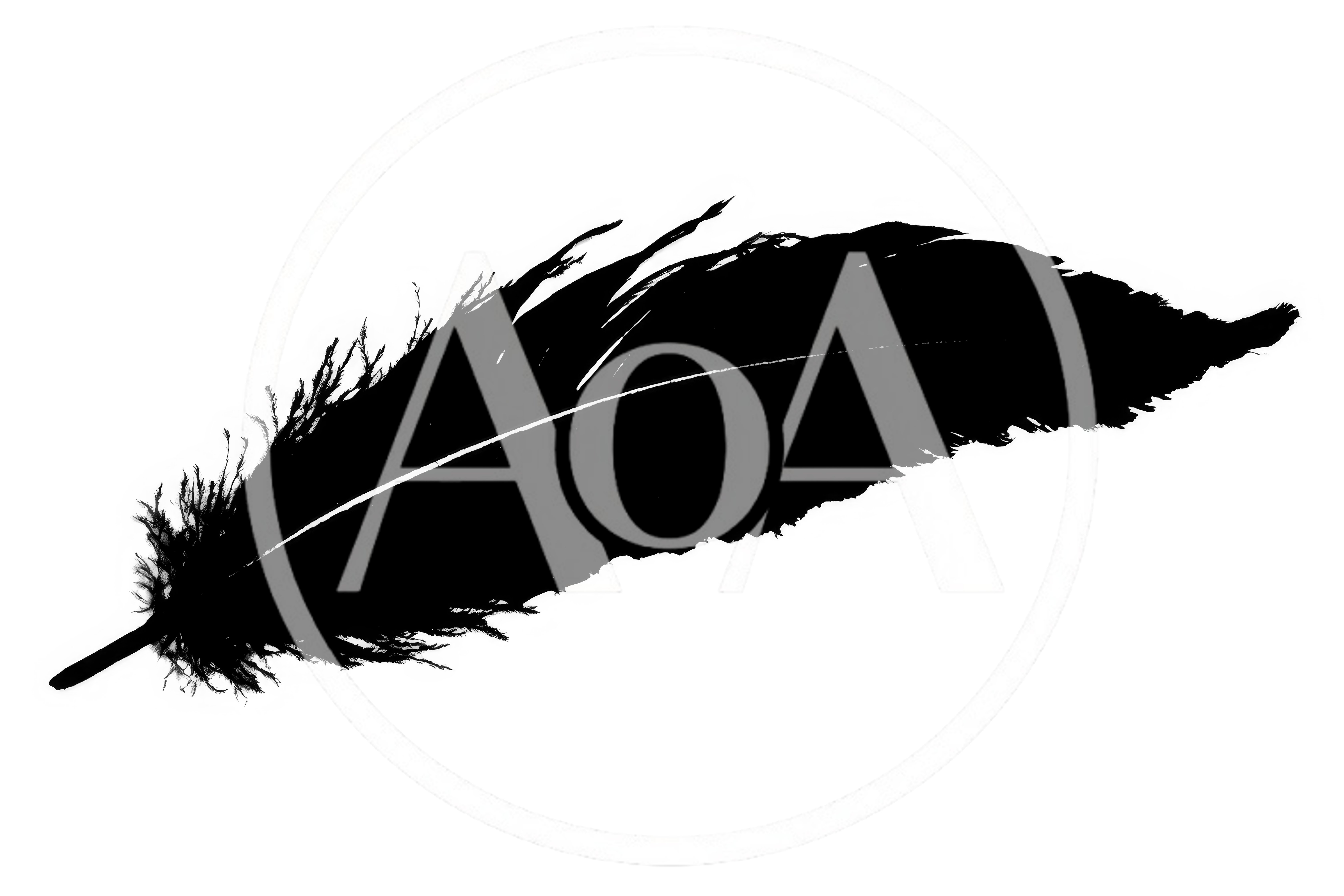 Black Feather Silhouette Isolated On White Background