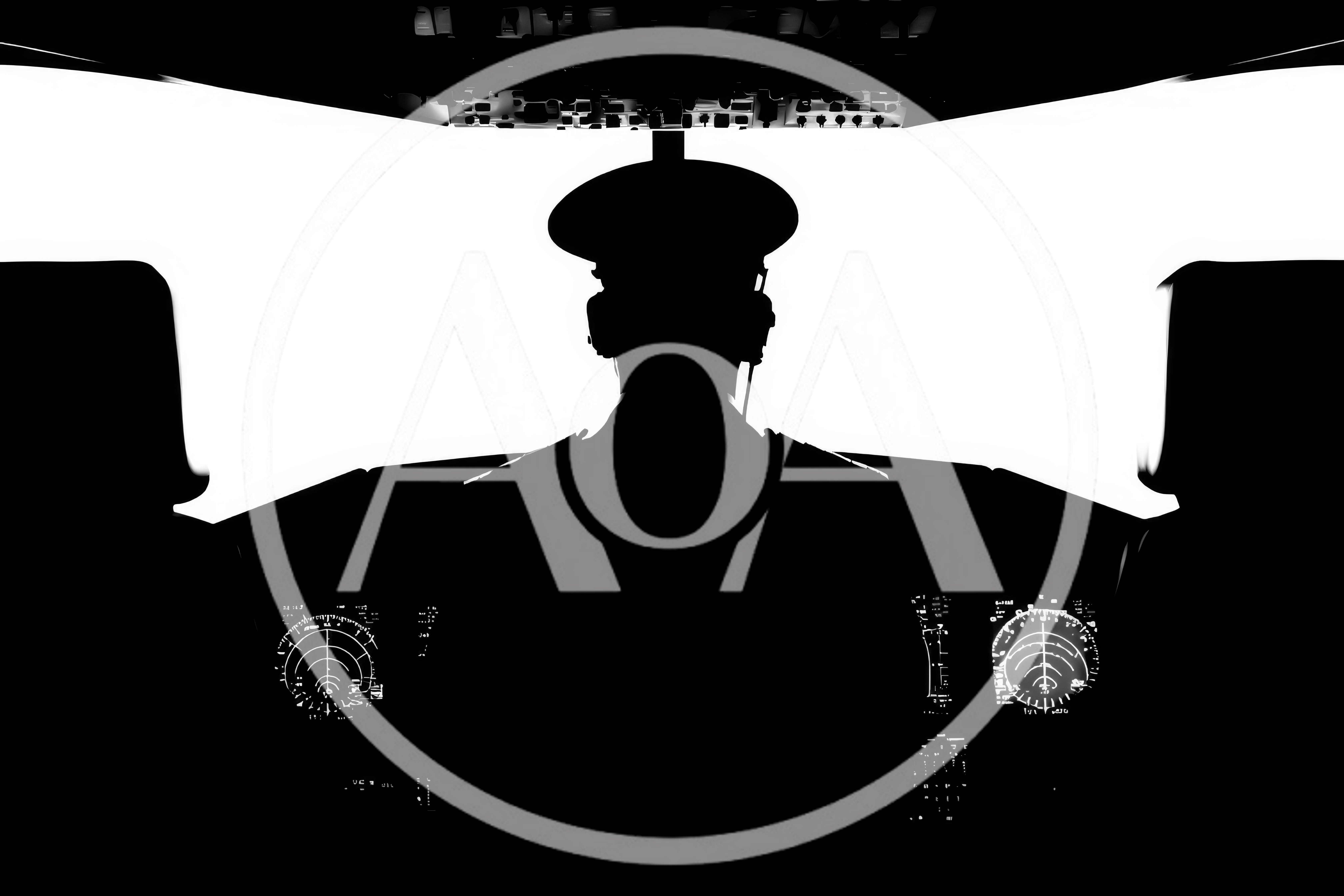 Silhouette Of A Pilot In An Airplane Cockpit