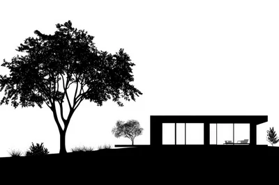 Minimalist Modern House Silhouette With Large Tree
