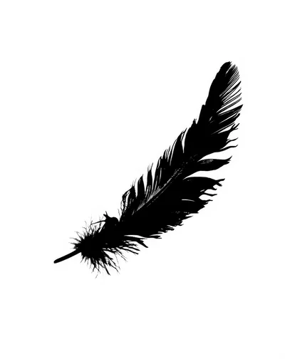 Black Feather Silhouette Isolated On White Background