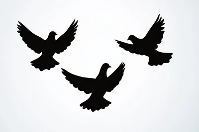 Three Flying Dove Silhouettes On White Background