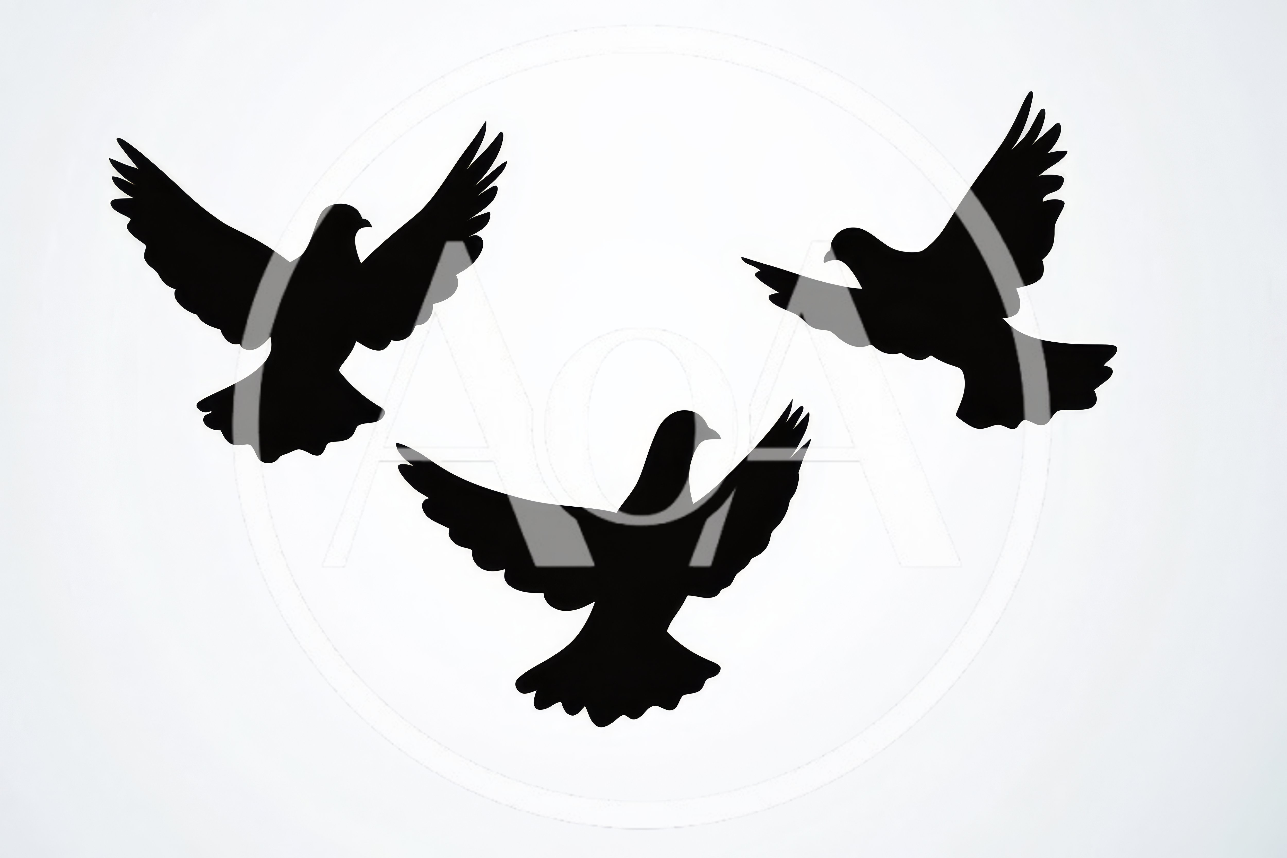 Three Flying Dove Silhouettes On White Background