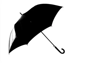 Black Umbrella Isolated On White Background