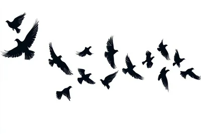 Flock Of Flying Birds Silhouette Isolated On White