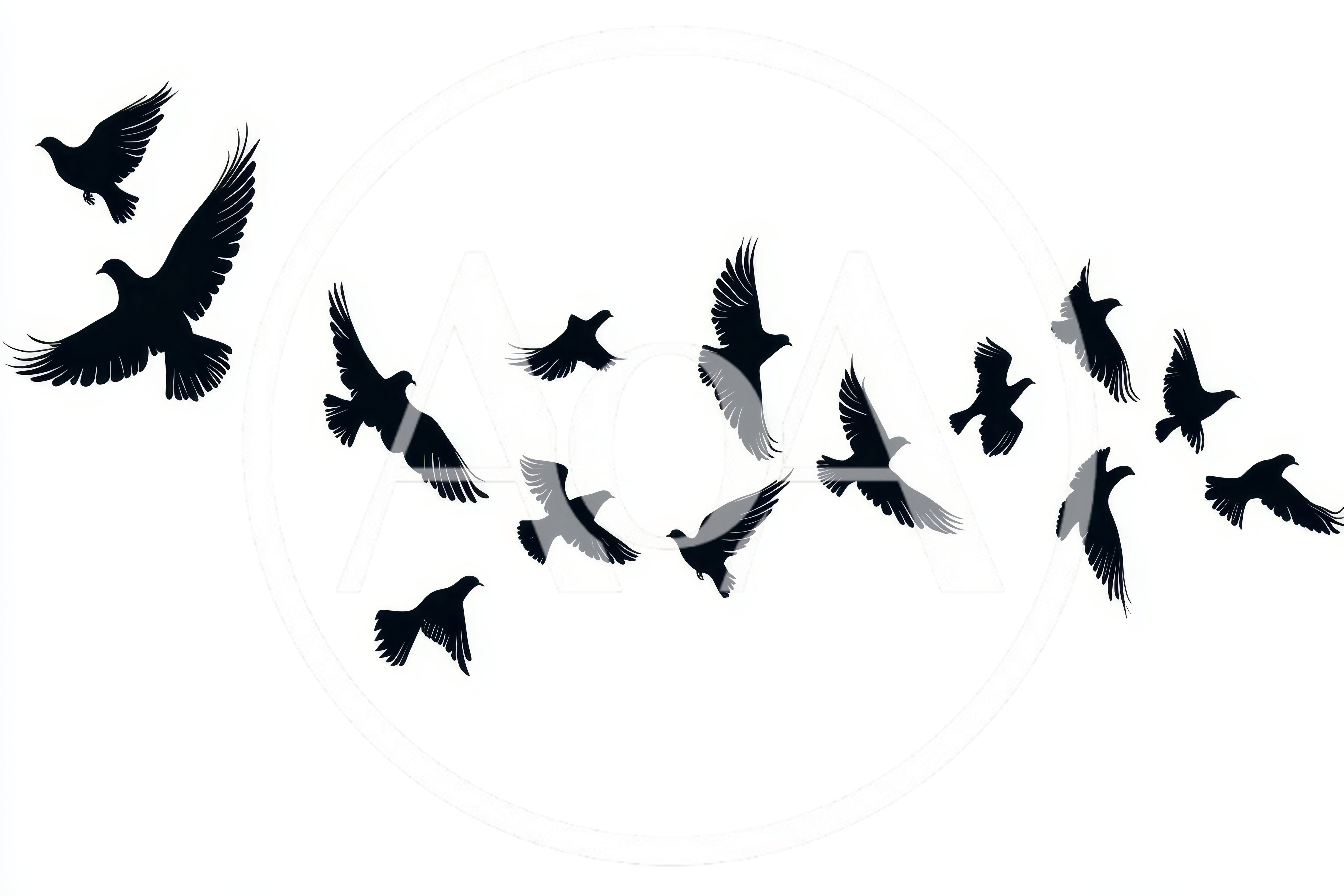 Flock Of Flying Birds Silhouette Isolated On White