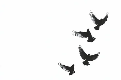 Four Black Pigeons Flying Against A White Background