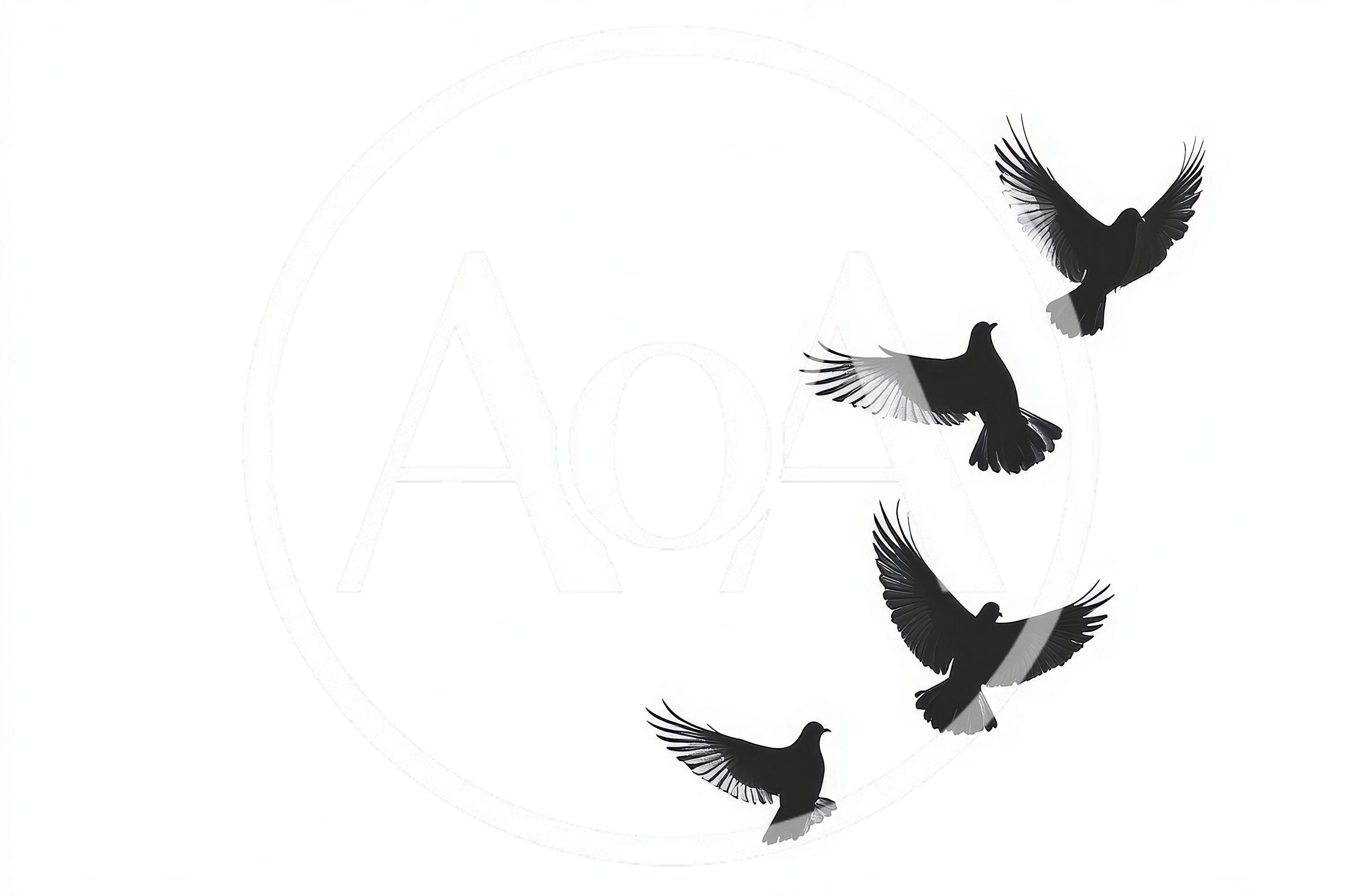 Four Black Pigeons Flying Against A White Background