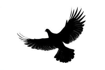 Black Silhouette Of A Flying Dove