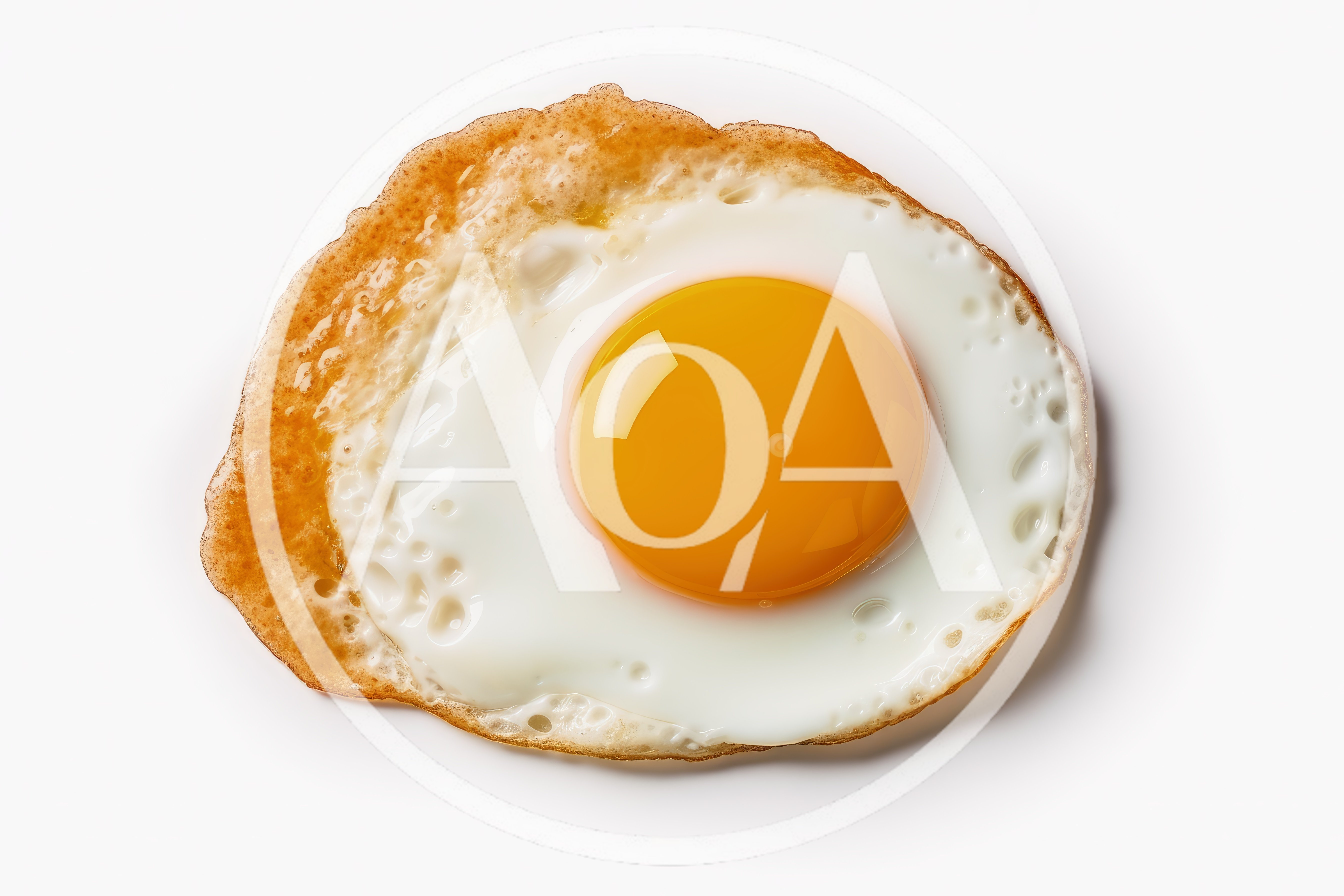 Single Fried Egg With Crispy Edges