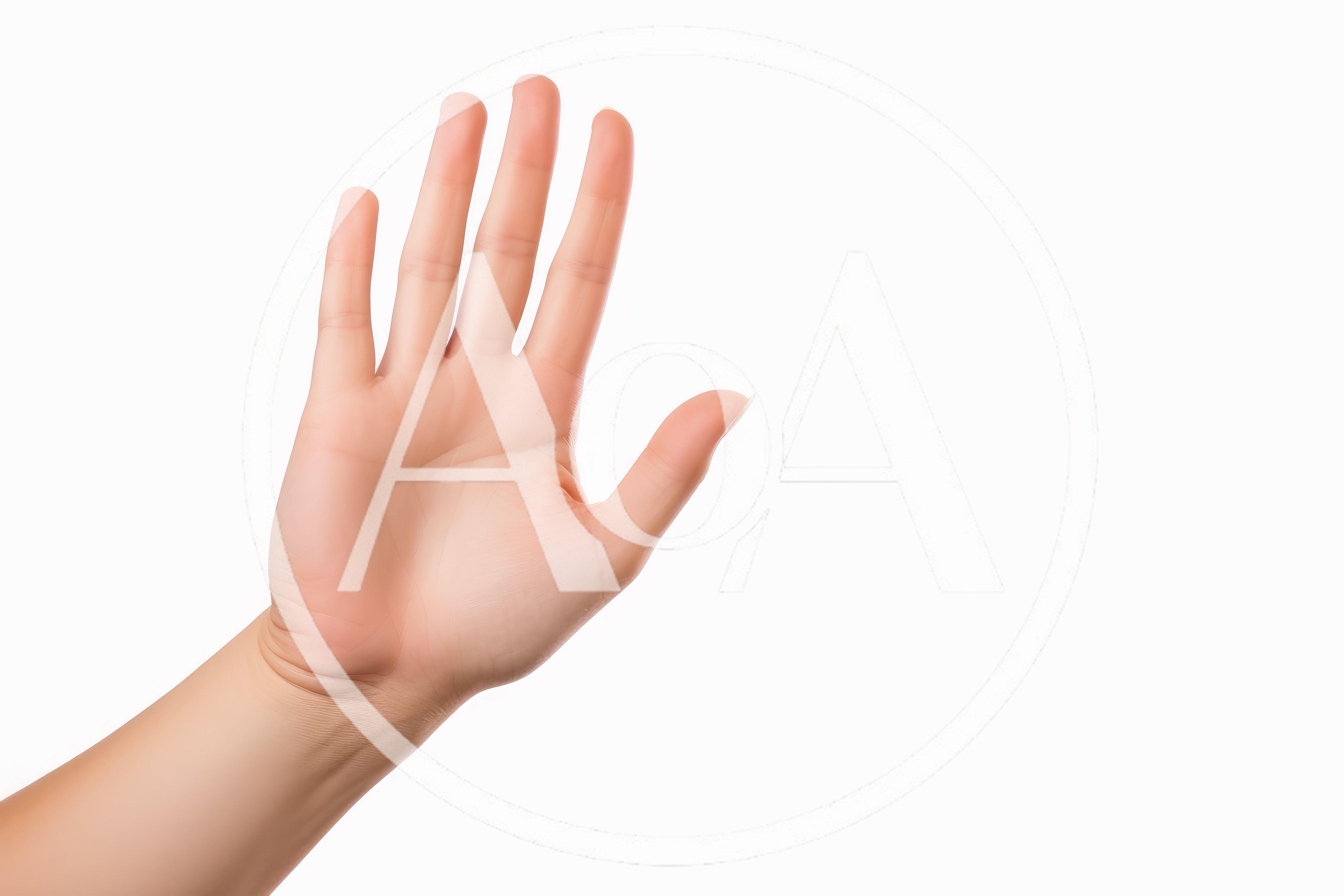 Human Hand Gesturing Stop Against White Background