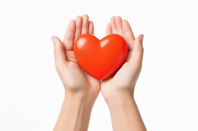 Hands Holding A Smooth Red Heart Shape
