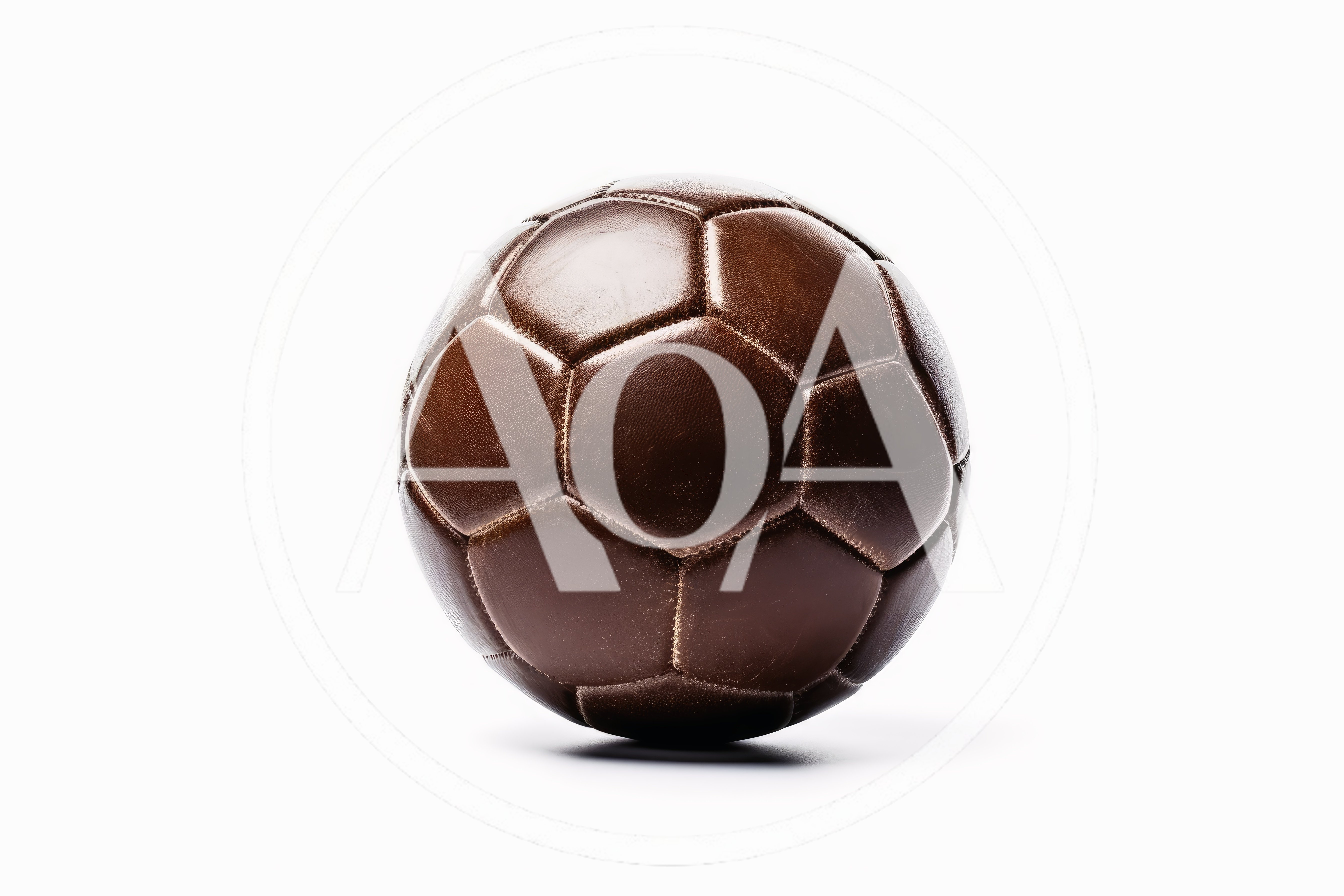 Vintage Brown Leather Soccer Ball