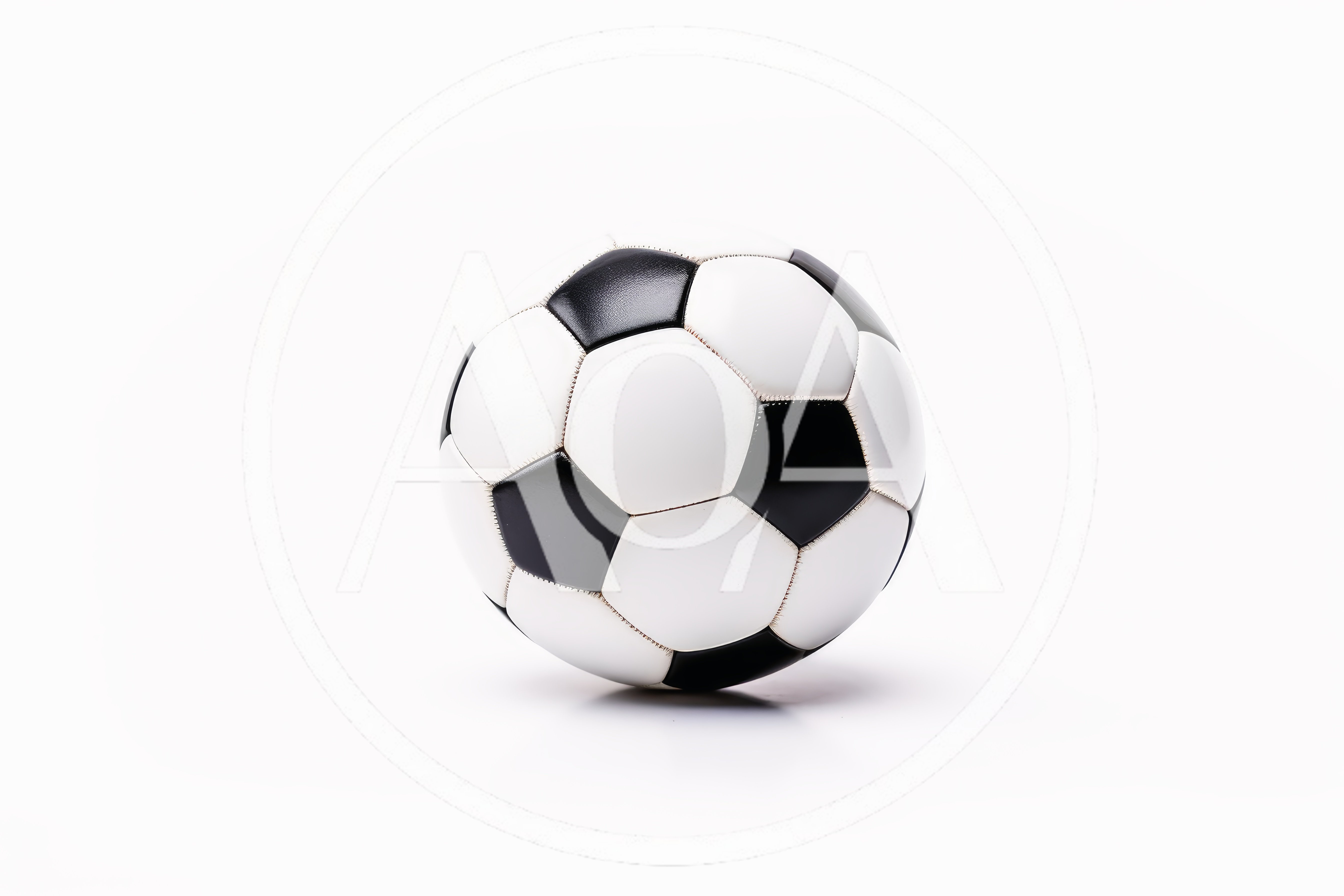 Classic Black and White Soccer Ball