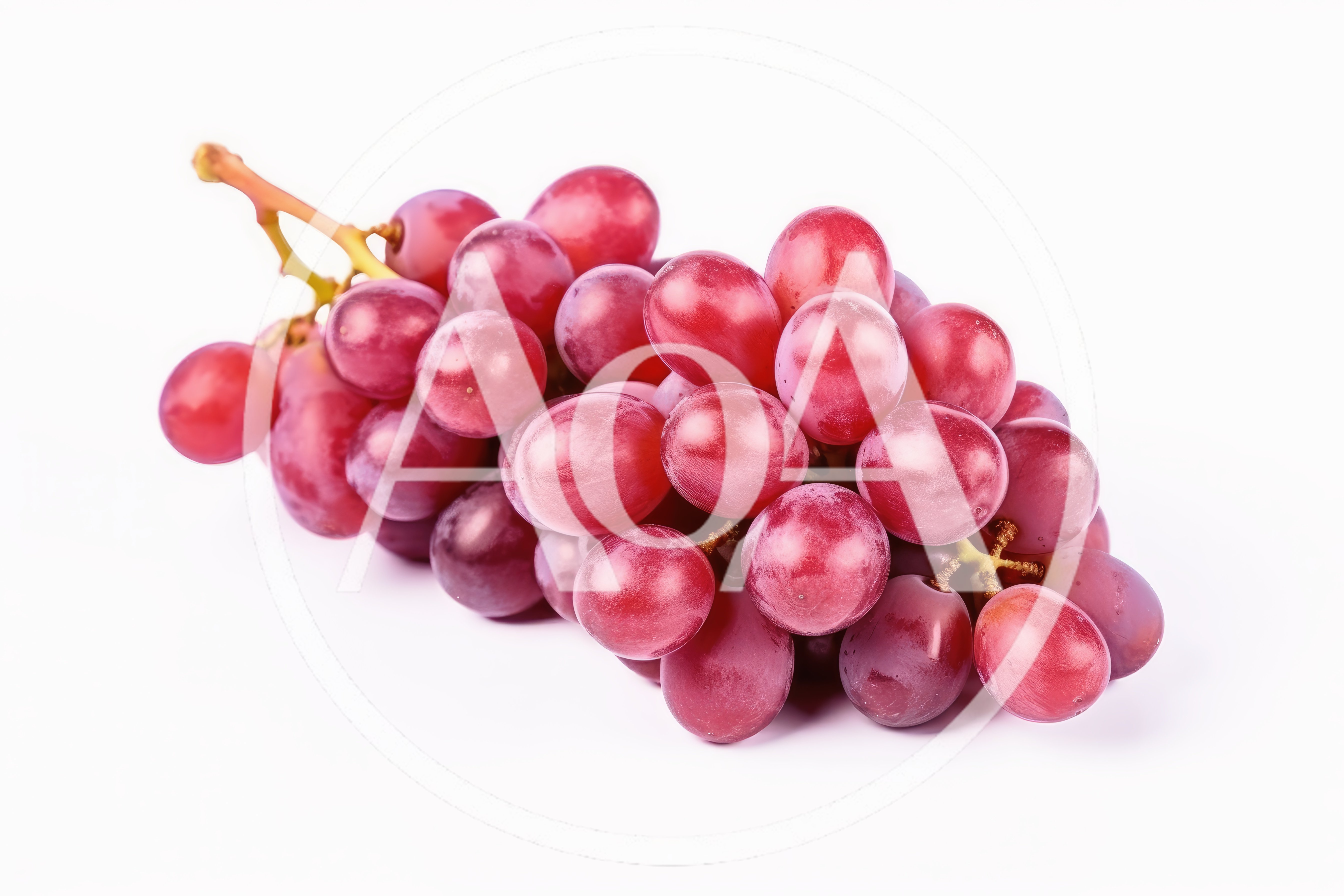Fresh Red Grapes Cluster Isolated On White Background