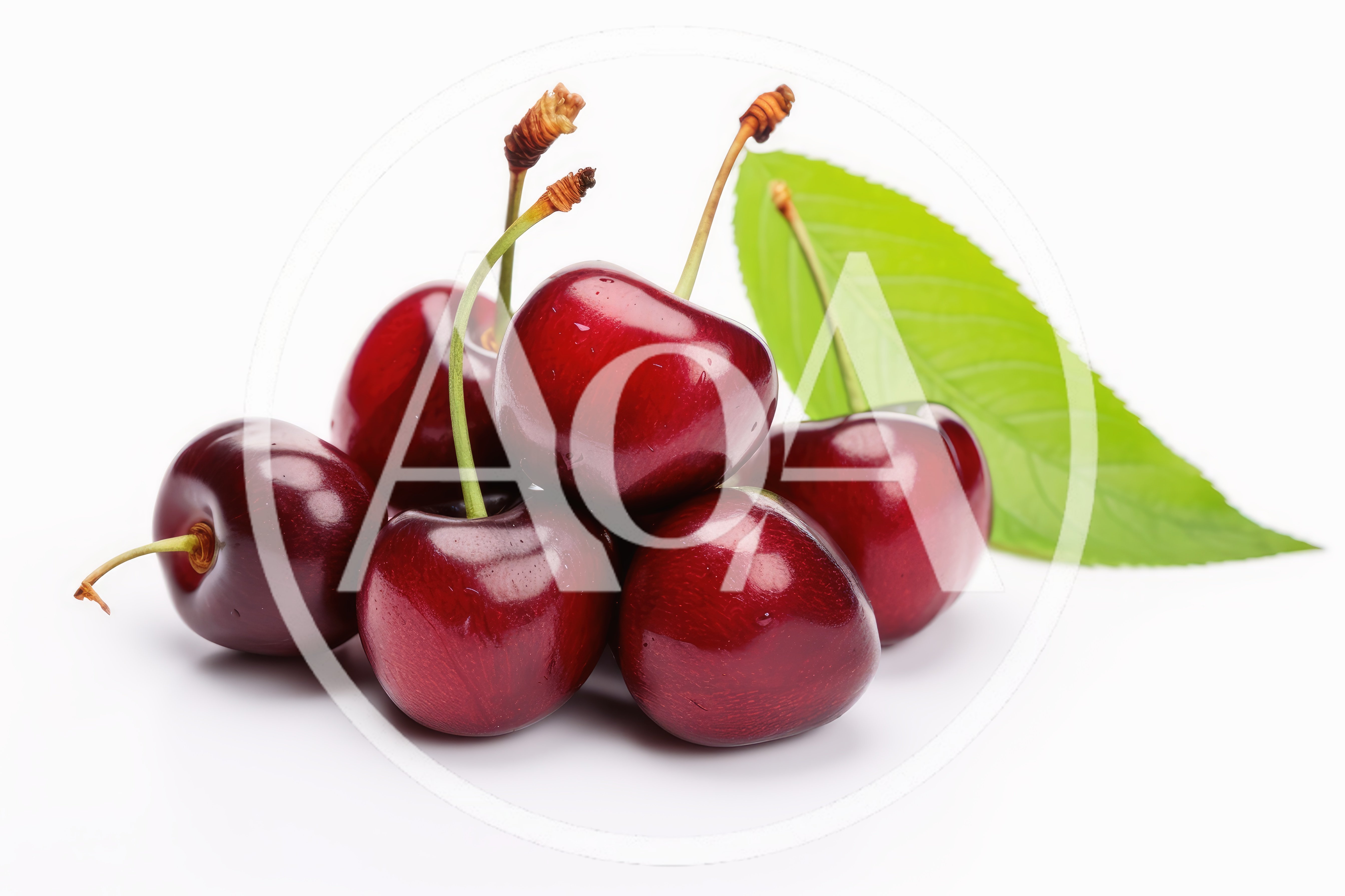 Fresh Red Cherries With Green Leaf