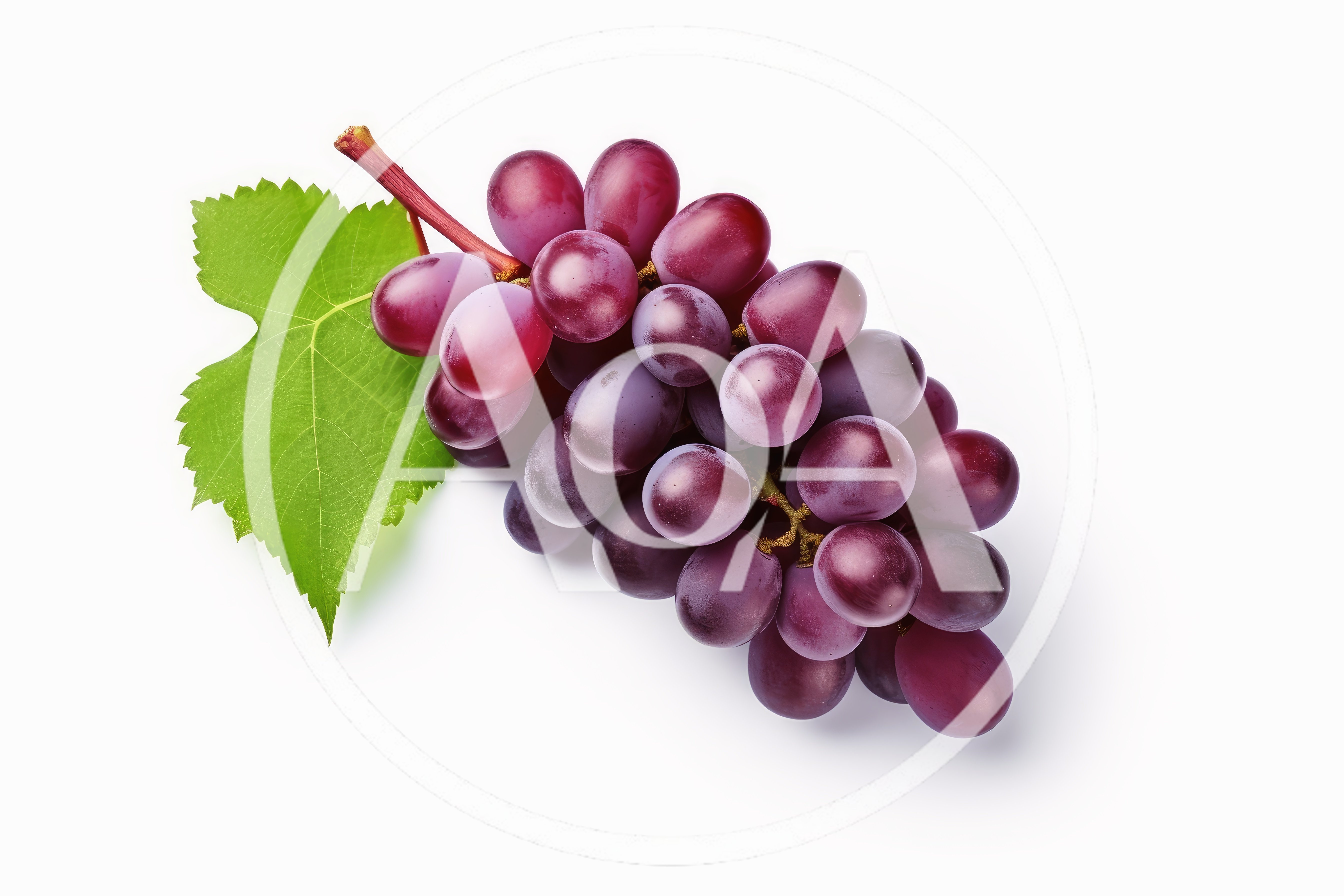 Fresh Red Grapes With Green Leaf On White Background