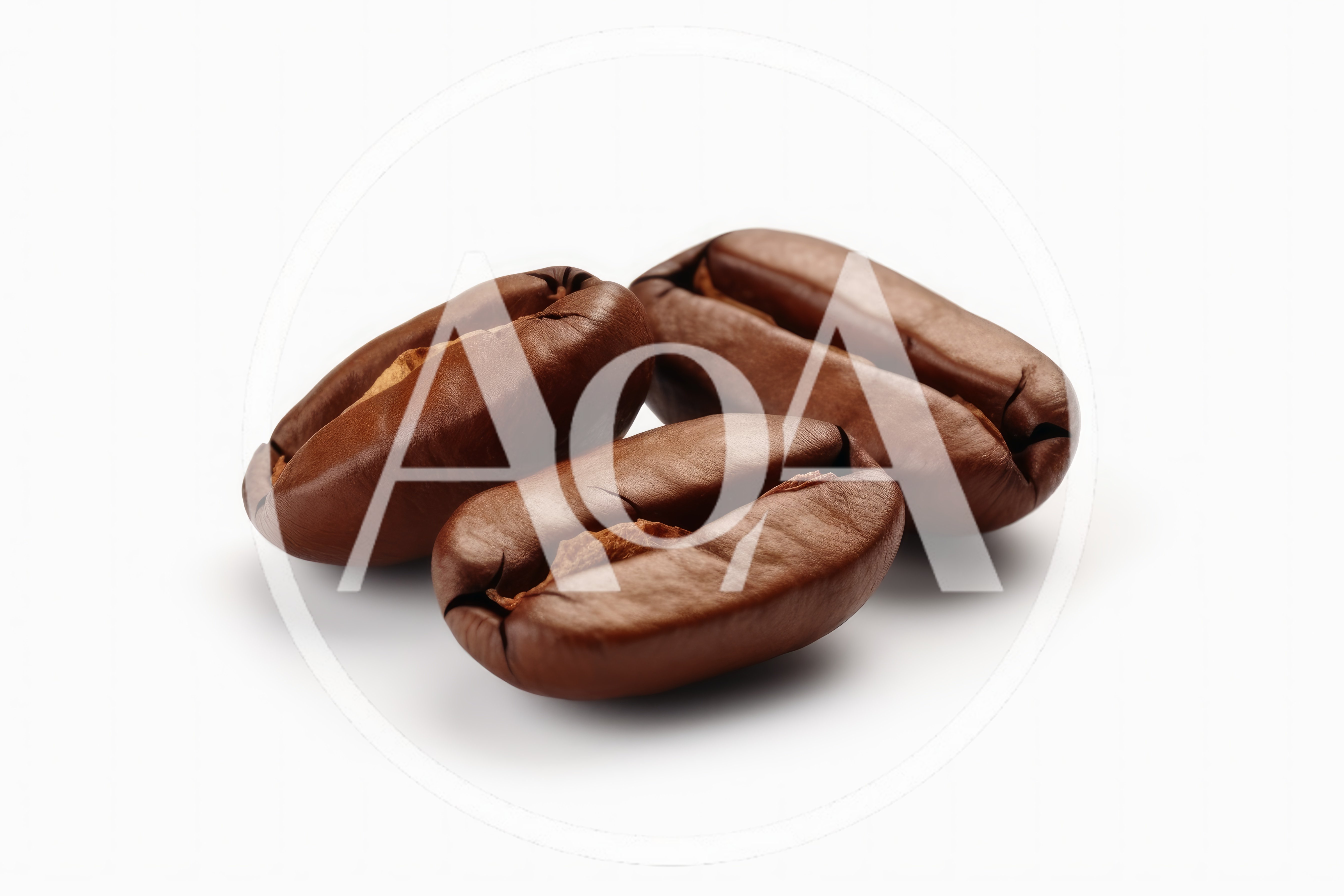 Three Roasted Coffee Beans Isolated On White Background