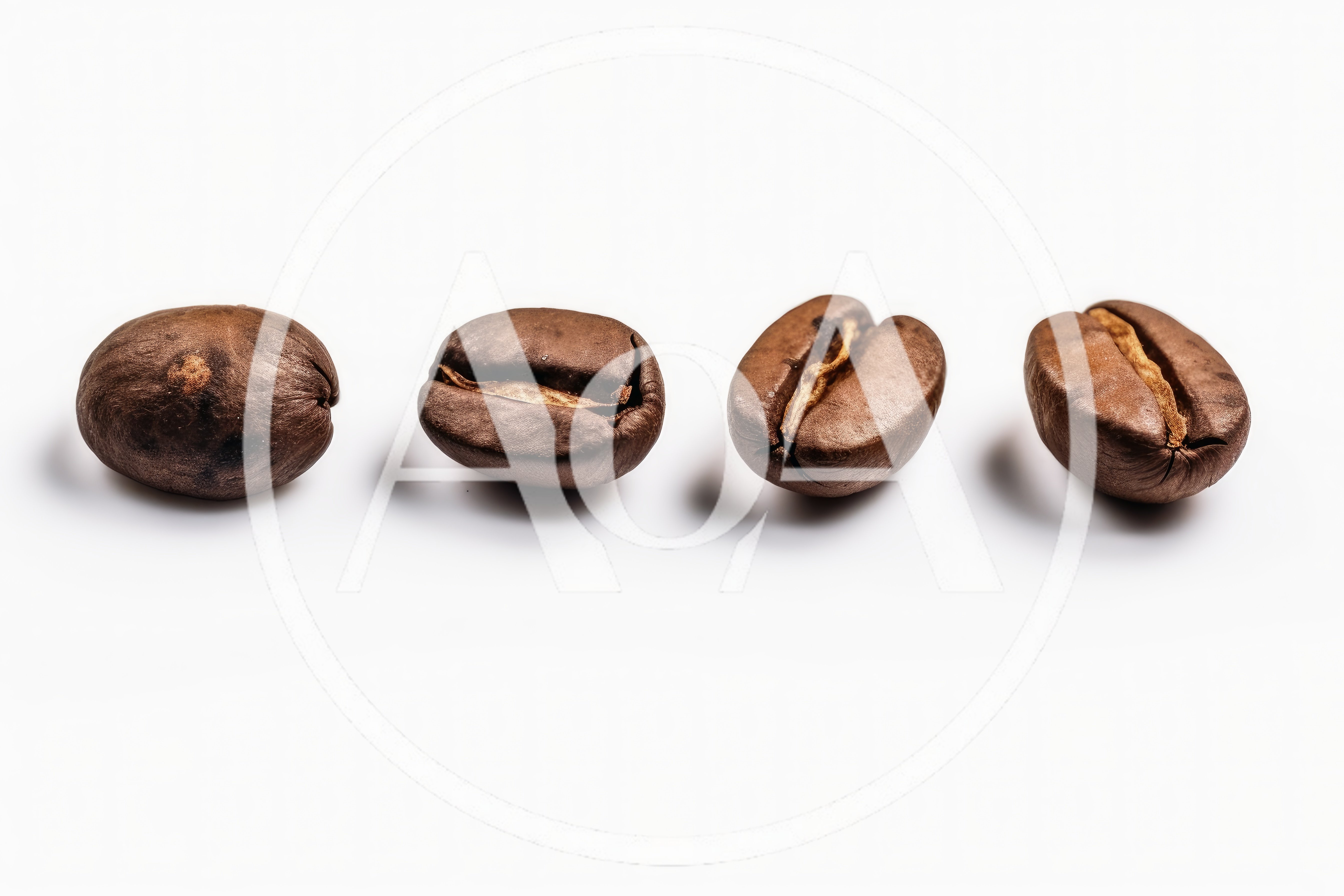 Four Roasted Coffee Beans Arranged In A Row