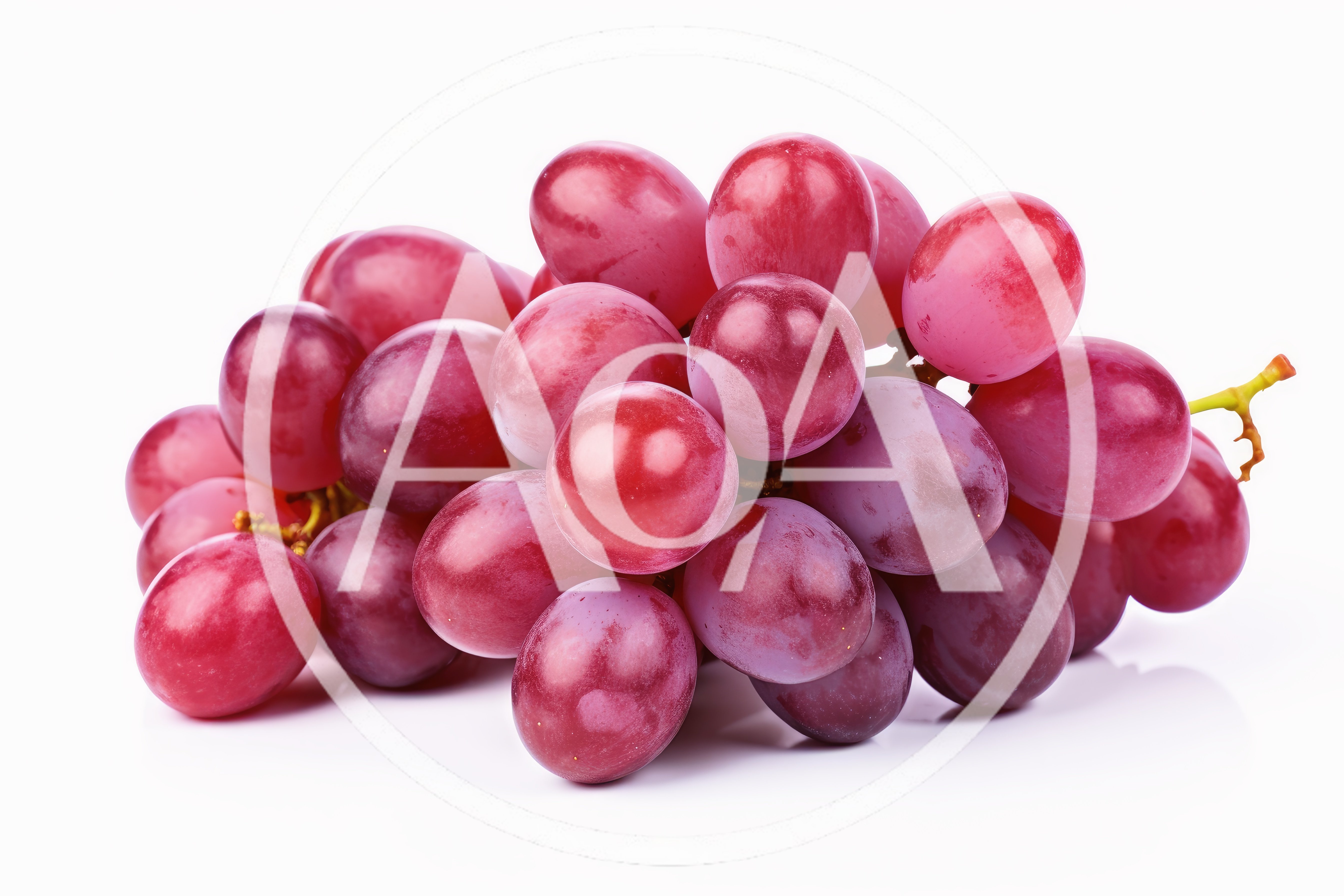 Fresh Red Grapes Cluster Isolated On White Background