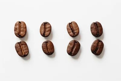 Eight Roasted Coffee Beans Arranged In Two Rows