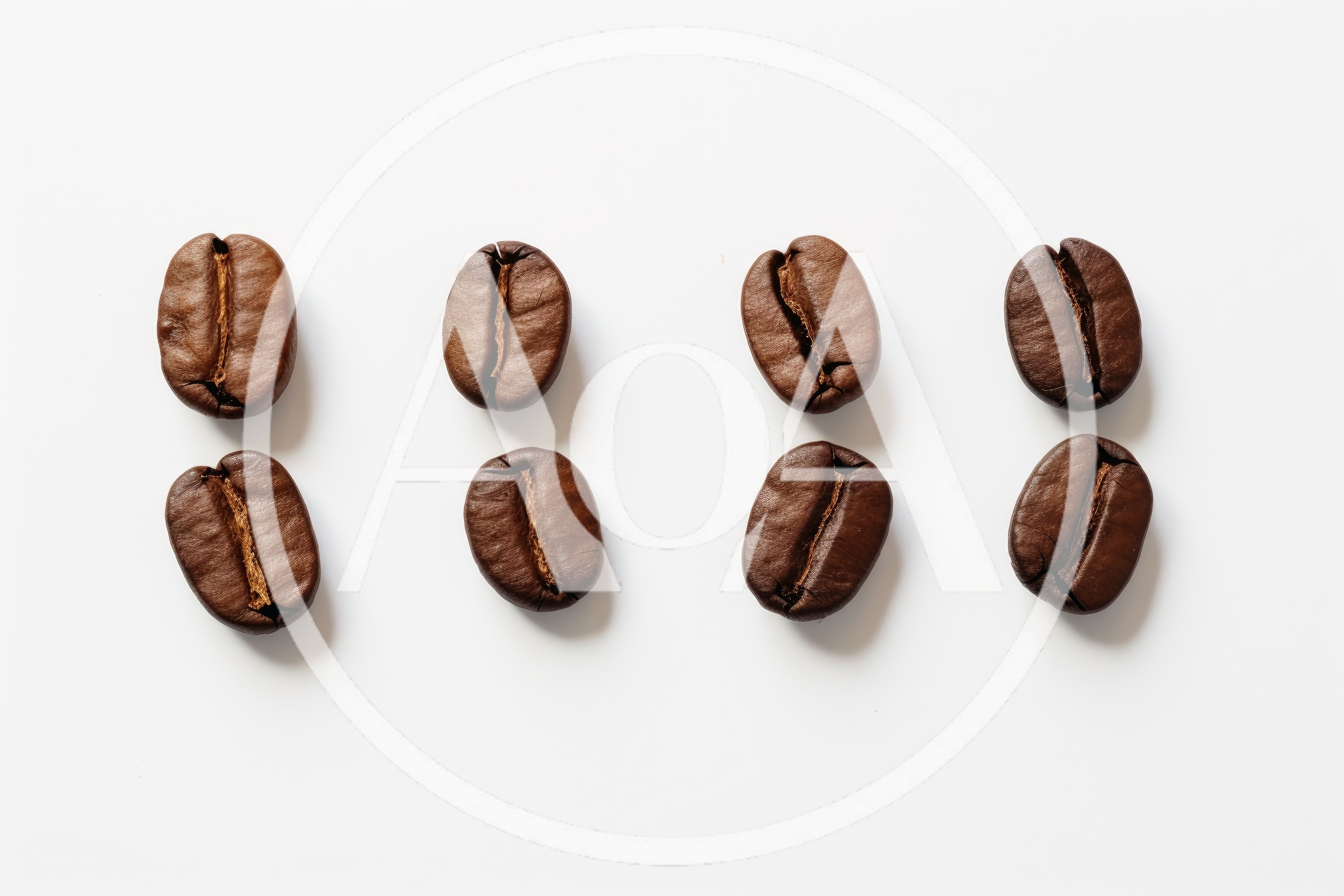 Eight Roasted Coffee Beans Arranged In Two Rows